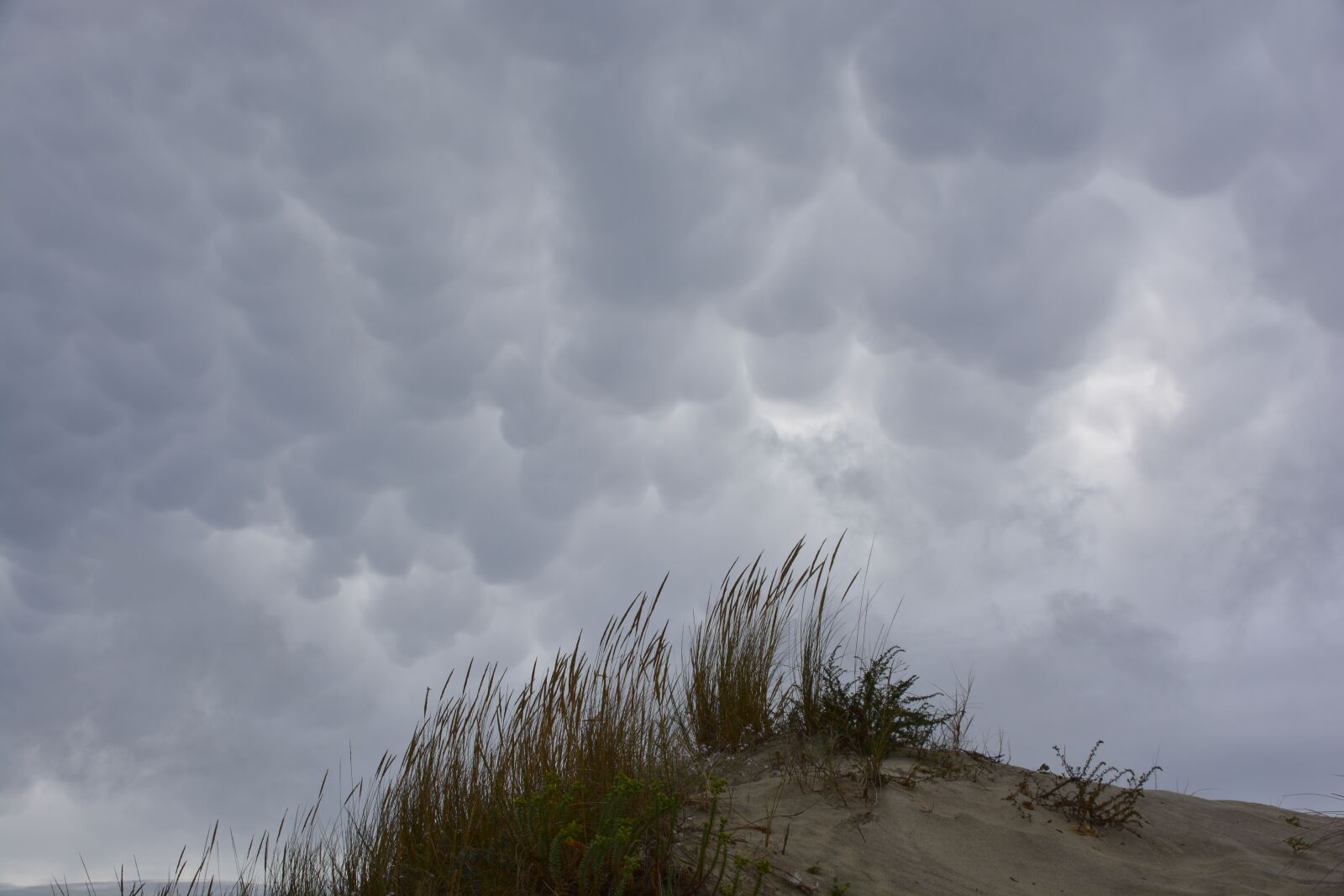Nikon D5200 sample photo. Clouds, beach, sky photography