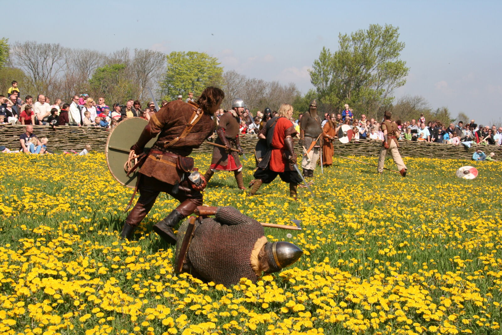 Sigma 18-200mm f/3.5-6.3 DC OS sample photo. Vikings photography