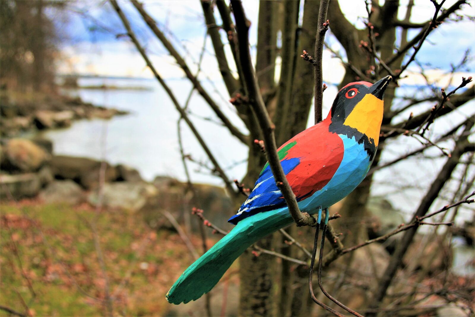 Canon EOS 400D (EOS Digital Rebel XTi / EOS Kiss Digital X) sample photo. Nature, bird, wooden photography