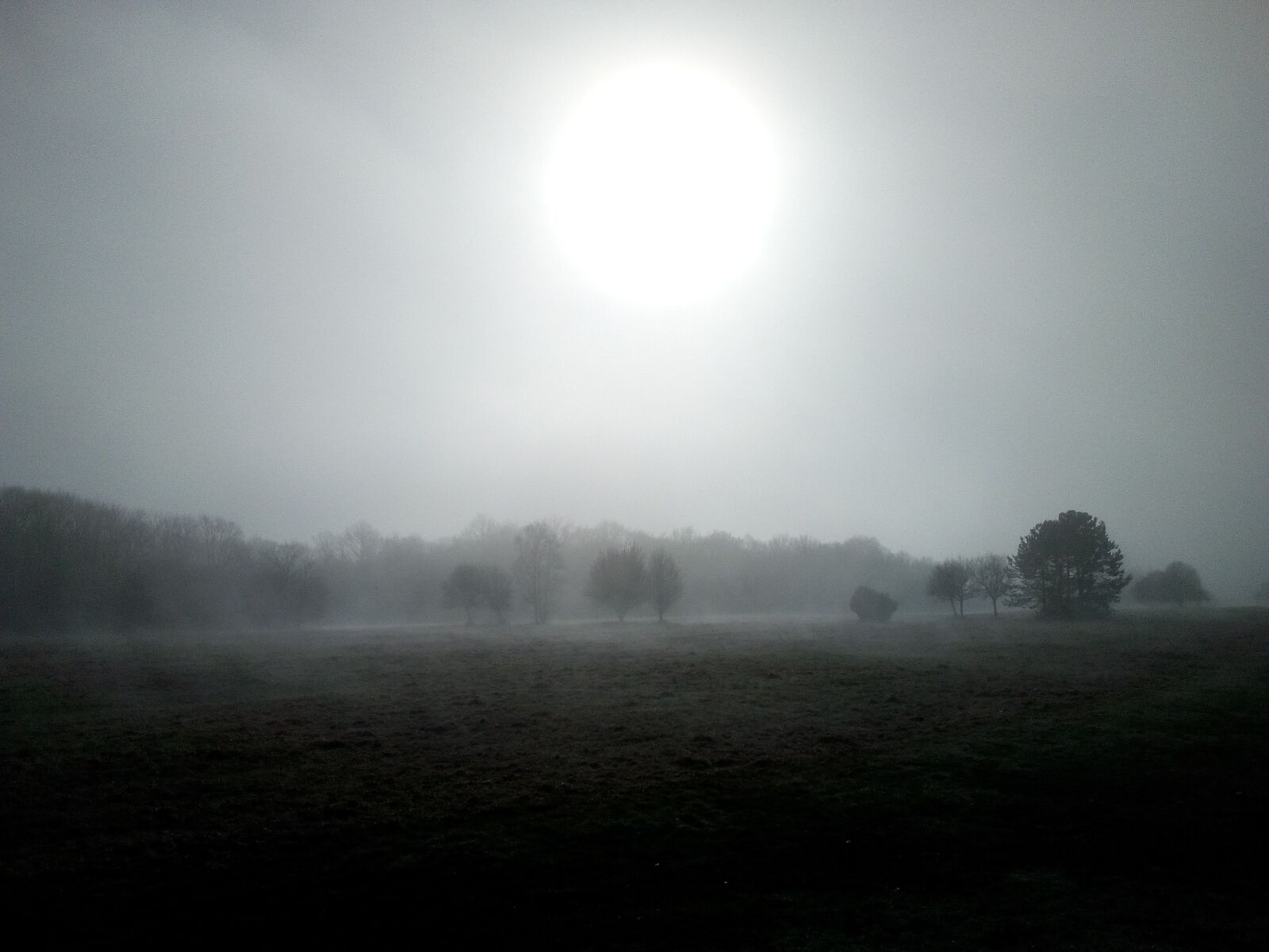 WIKO LENNY3 sample photo. Golf, castle, cheverny photography