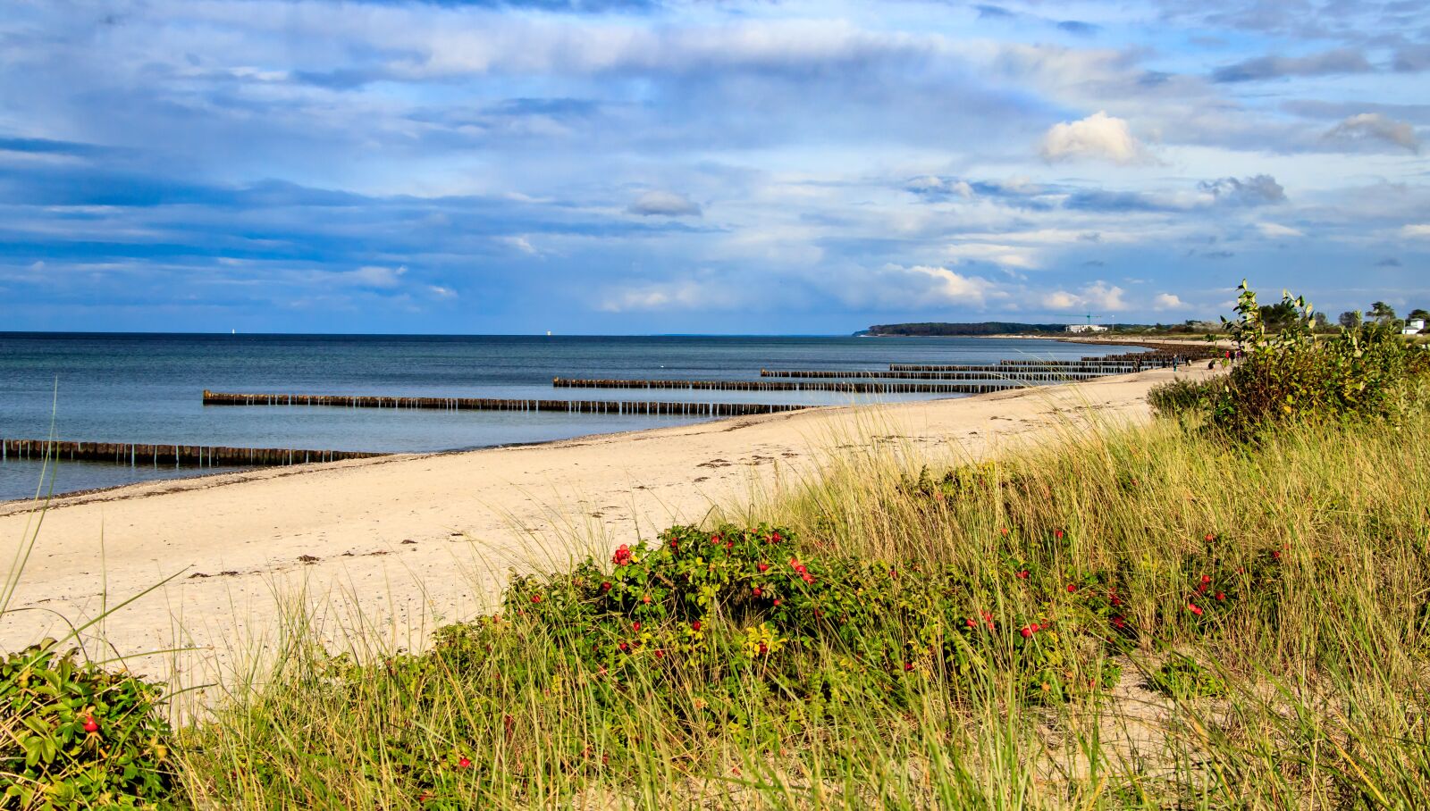 Canon EOS 80D sample photo. Baltic sea, coast, sea photography