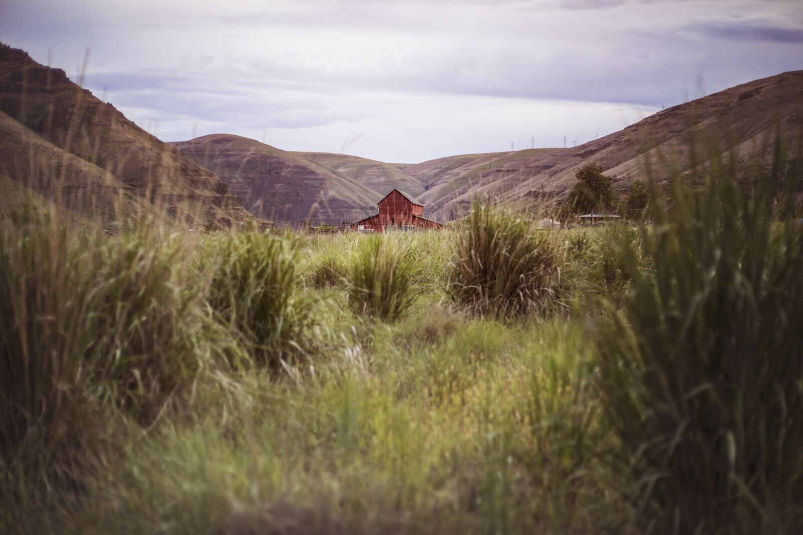 Canon EF 50mm F1.8 II sample photo. Farm, barn, rural photography