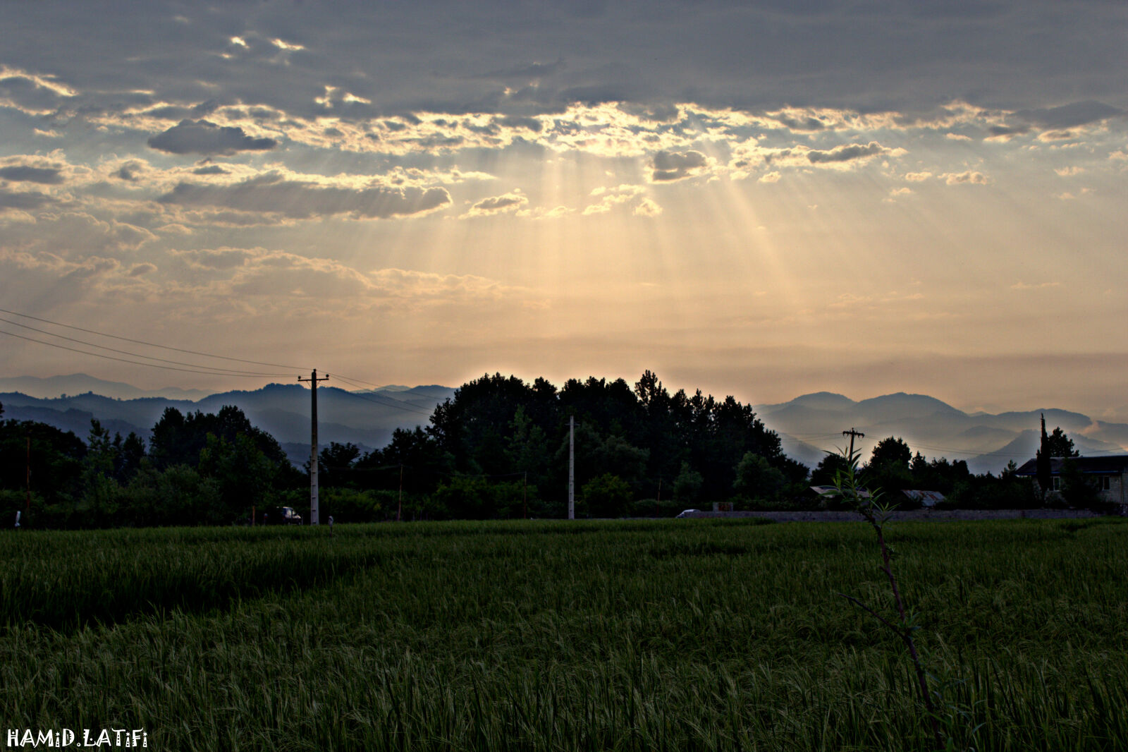 Canon EOS 60D sample photo