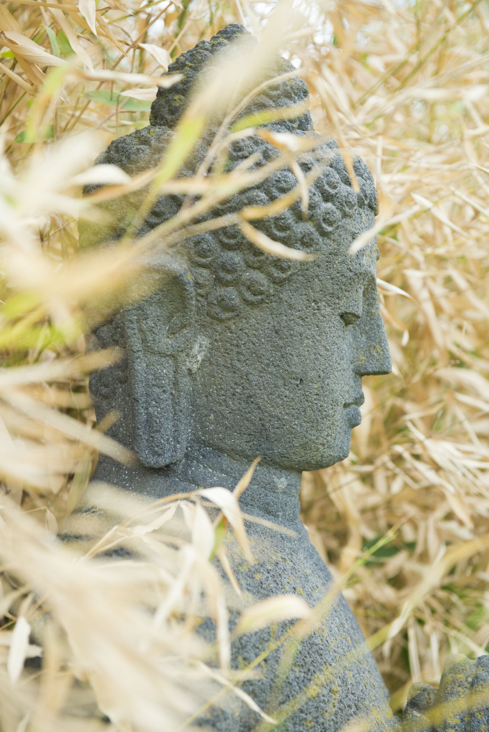 Nikon D800 sample photo. Buddah, stone figure, monk photography