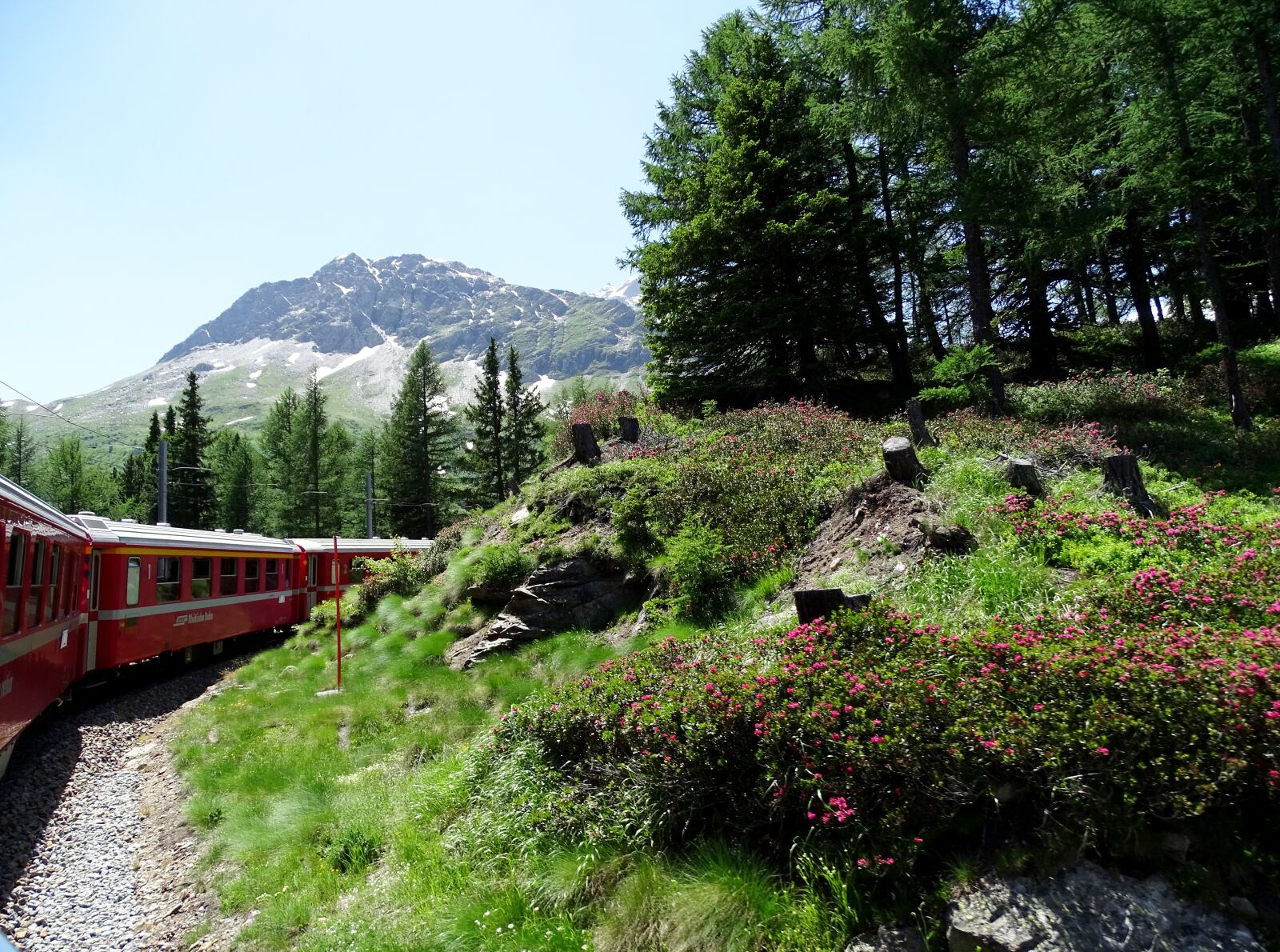 Sony Cyber-shot DSC-HX400V sample photo. Alpine, train, switzerland photography