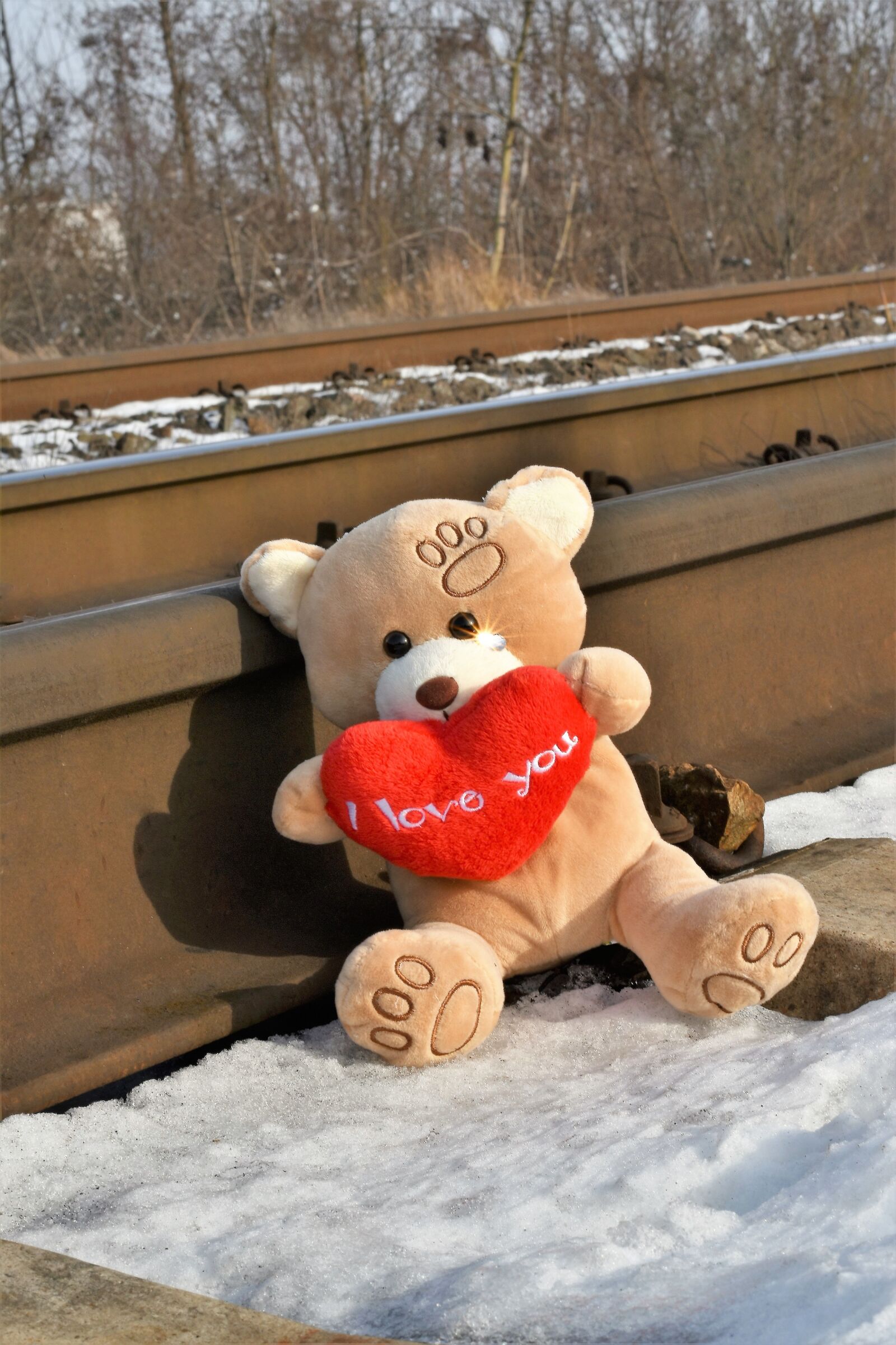 Nikon D5600 sample photo. Teddy bear crying, stop photography