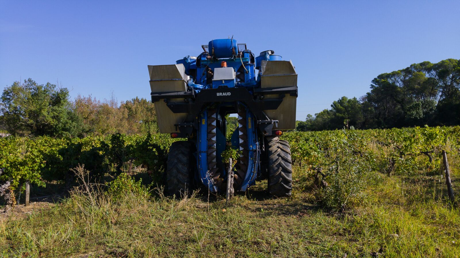LG G4 sample photo. Harvest, grape harvesting machine photography