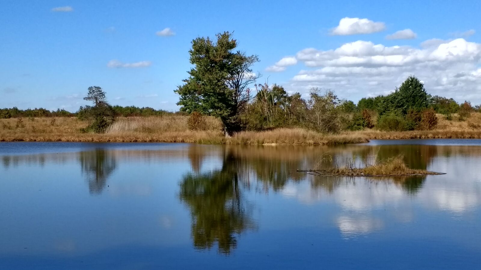 Motorola Moto G (4) sample photo. Water, pond, lake photography