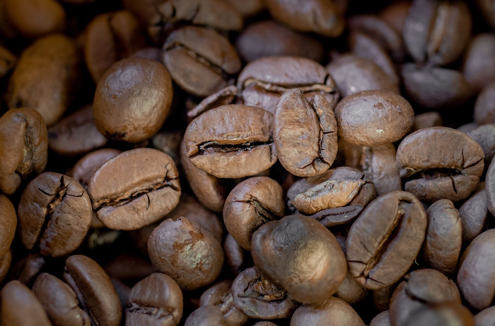 Nikon D7000 sample photo. Coffee, beans, coffee beans photography