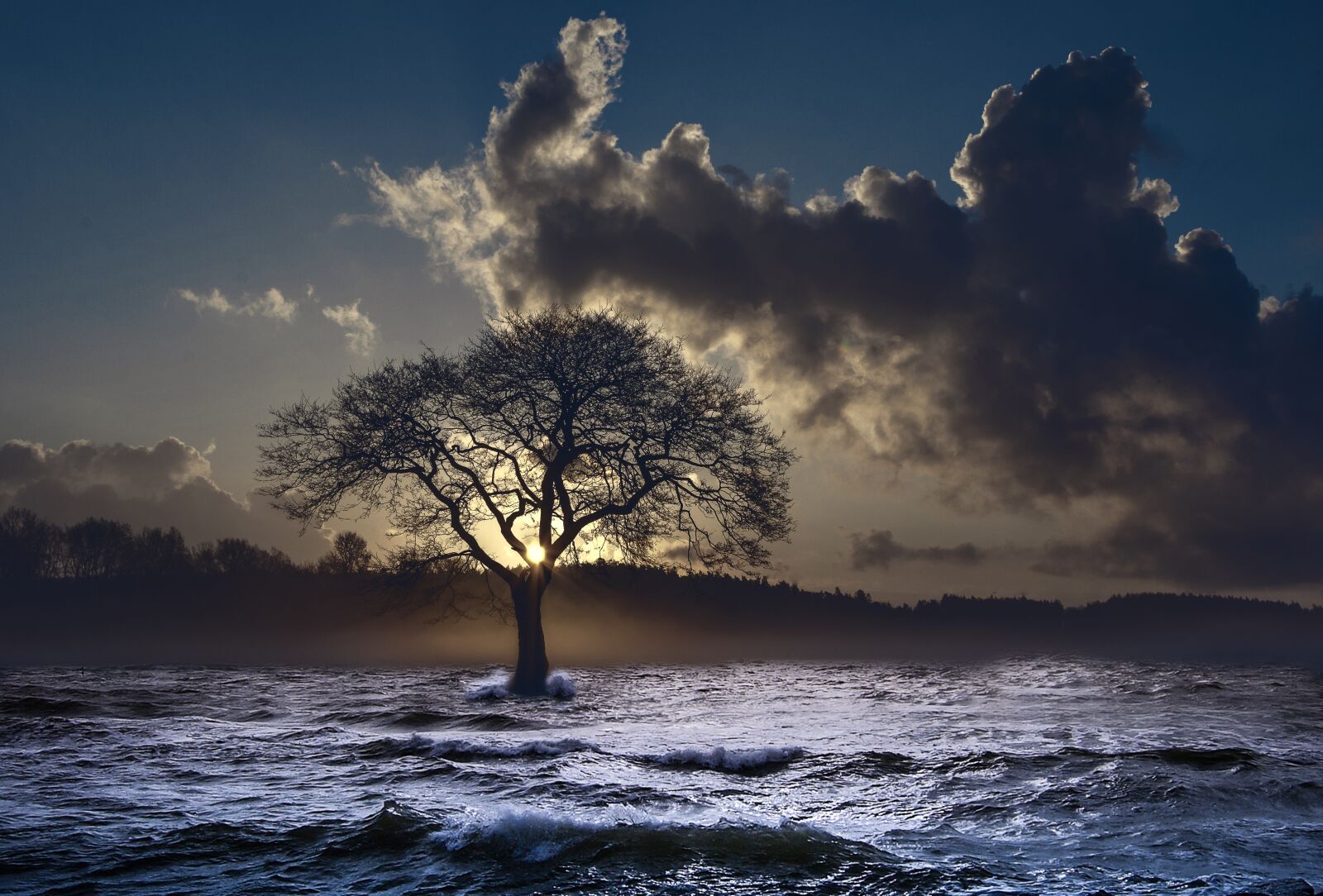 Nikon D5100 sample photo. Sea, wave, tree photography