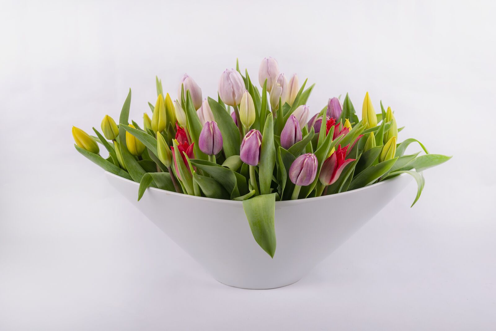 Nikon D610 sample photo. Tulips, spring, tulip photography