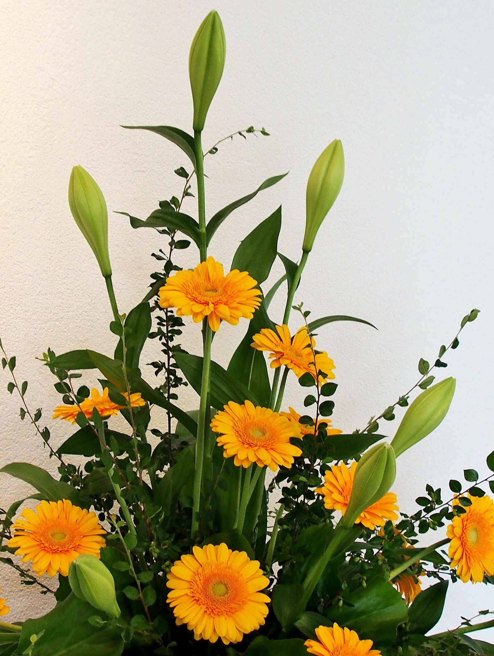 Olympus OM-D E-M5 sample photo. Gerbera, yellow, floral arrangement photography