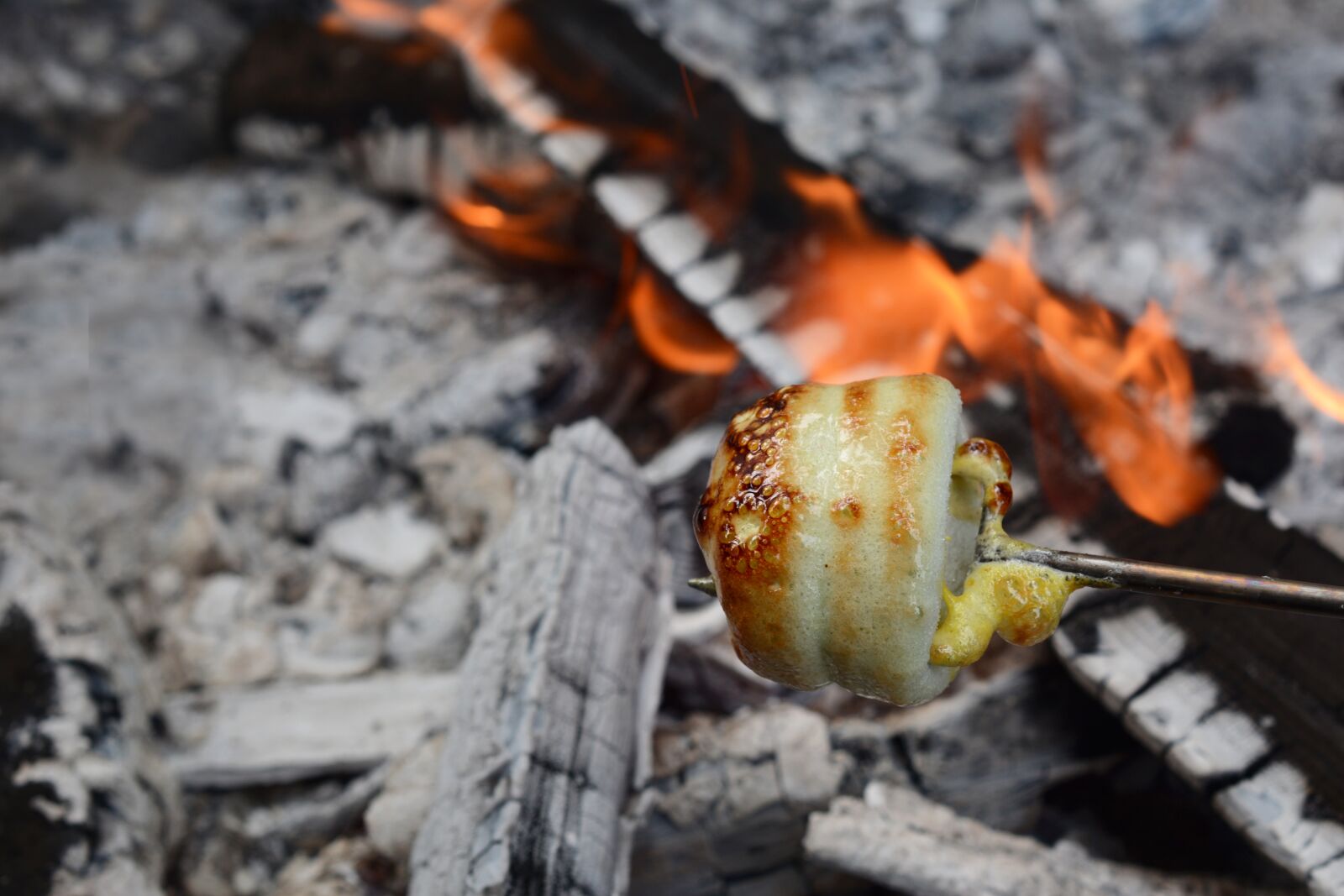 Nikon D7100 sample photo. Fire, marshmallow, eat photography
