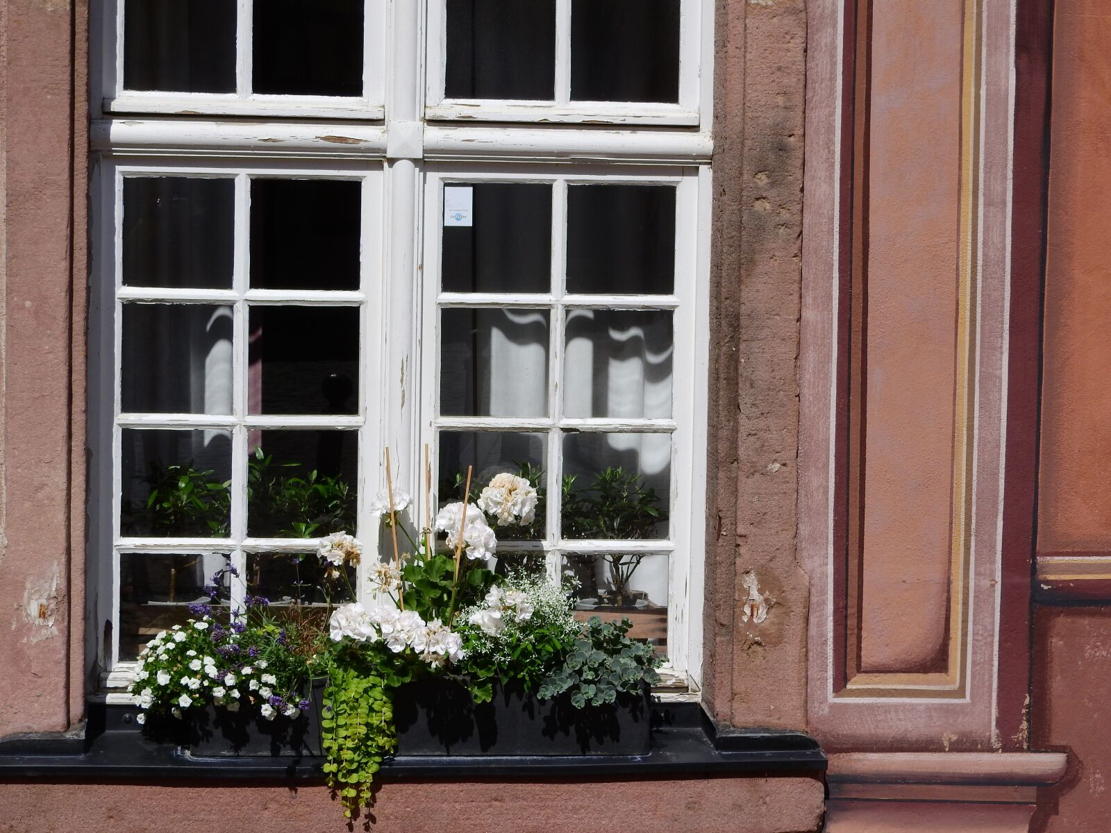 Nikon Coolpix P610 sample photo. Window, flowers on the photography