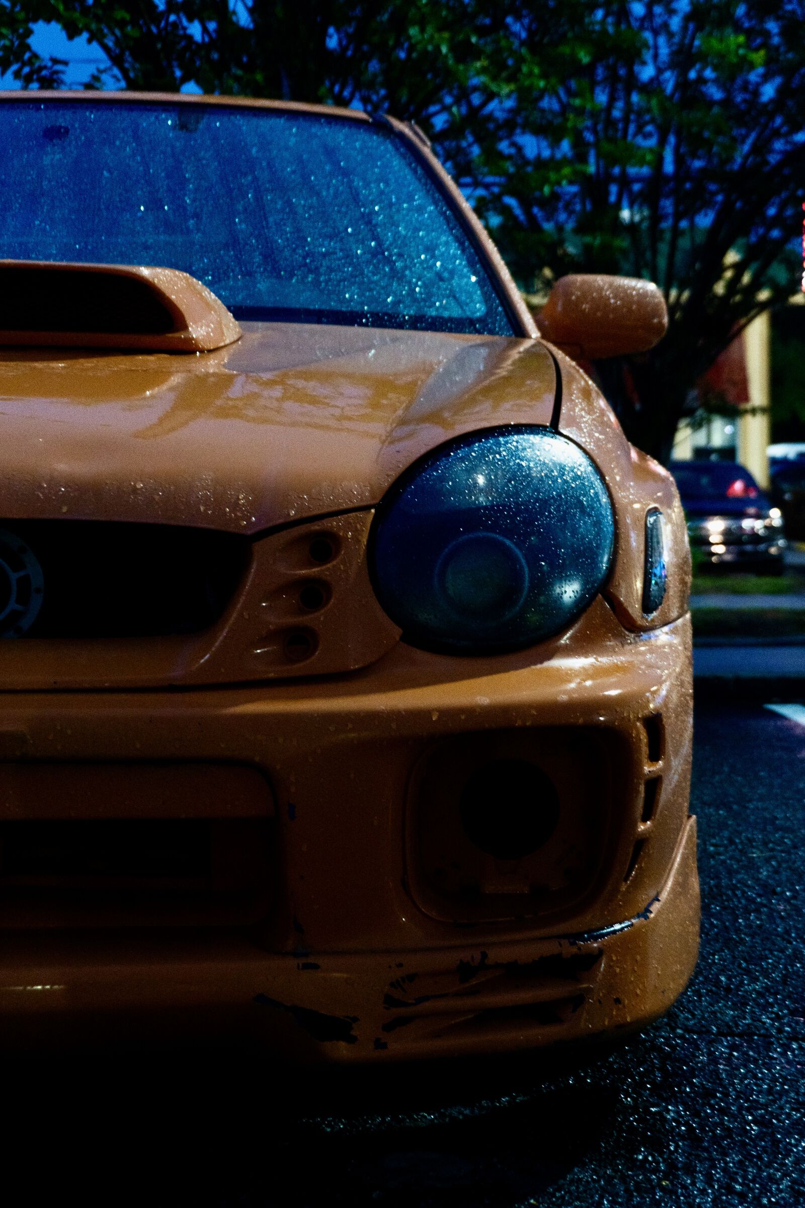 Sony a6500 sample photo