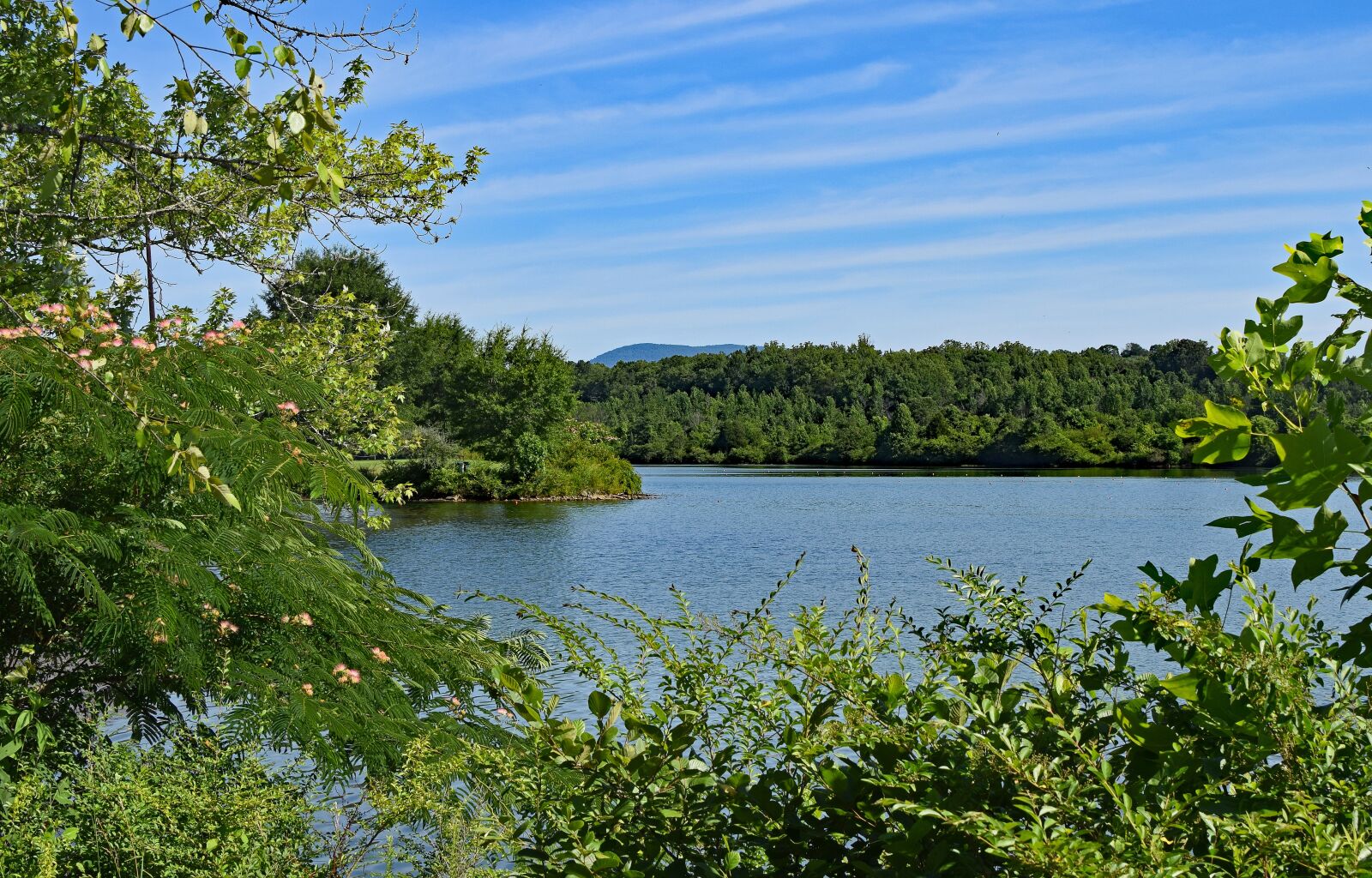Nikon D3300 sample photo. Melton lake, clinch river photography