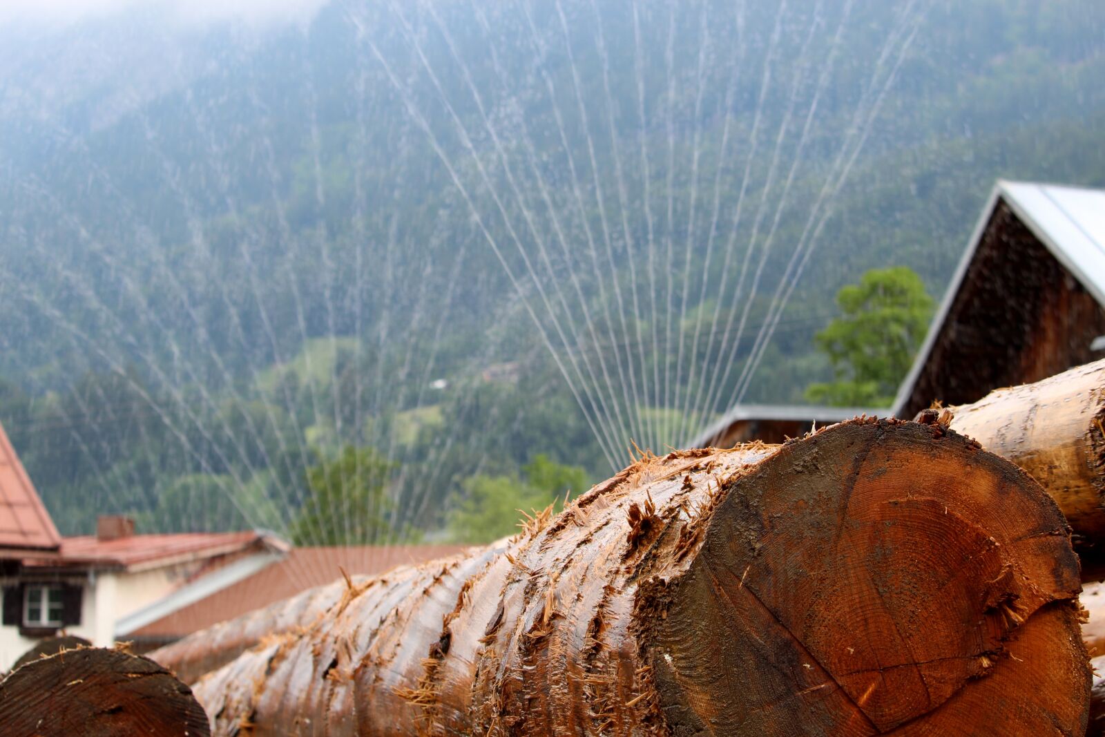Canon EF-S 55-250mm F4-5.6 IS STM sample photo. Wood, log, carpenter photography