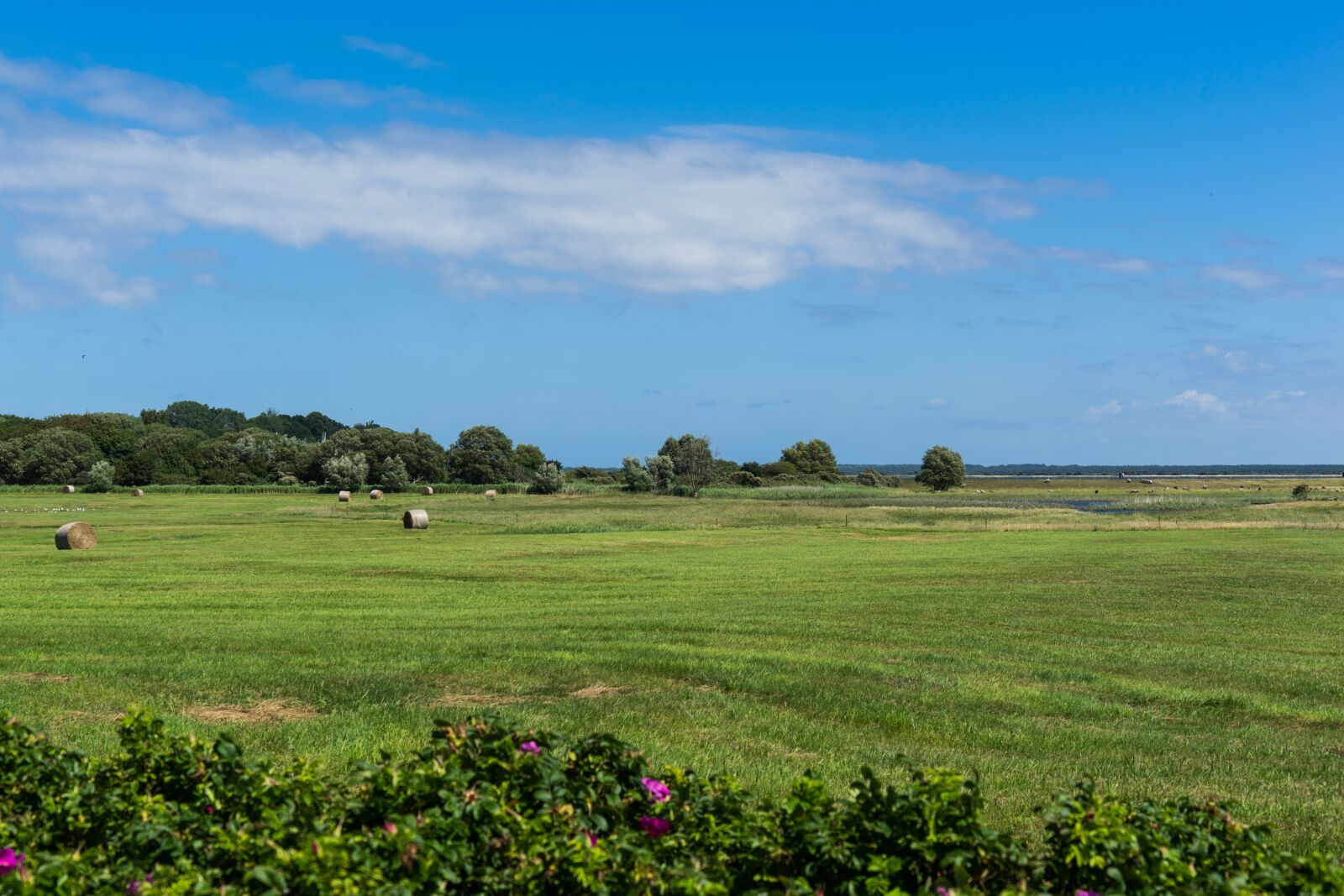 Sony a7 + Sony FE 24-240mm F3.5-6.3 OSS sample photo. Landscape, nature, agriculture photography