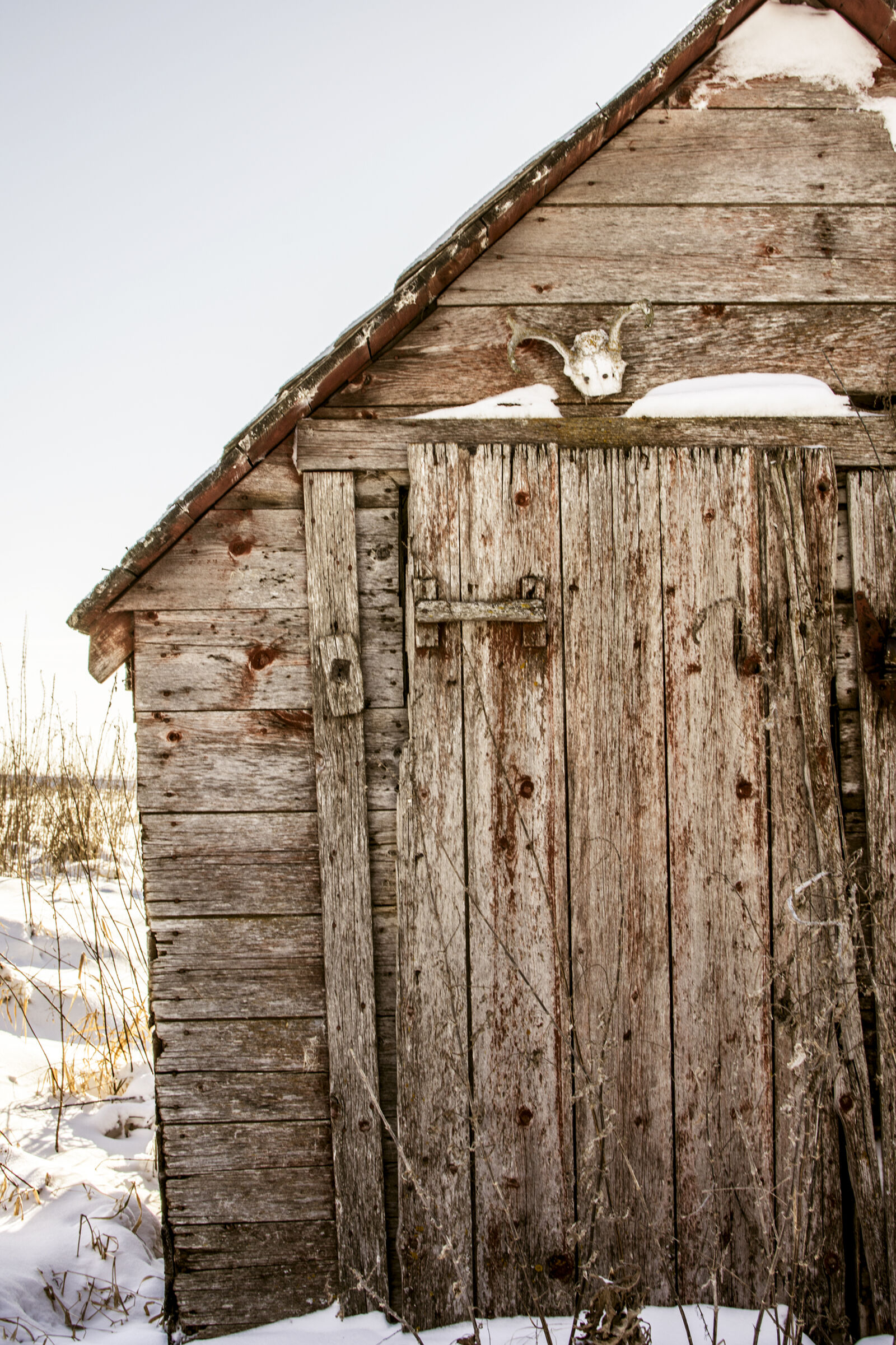 Nikon AF-S DX Nikkor 35mm F1.8G sample photo. Close, up, of, abandoned photography