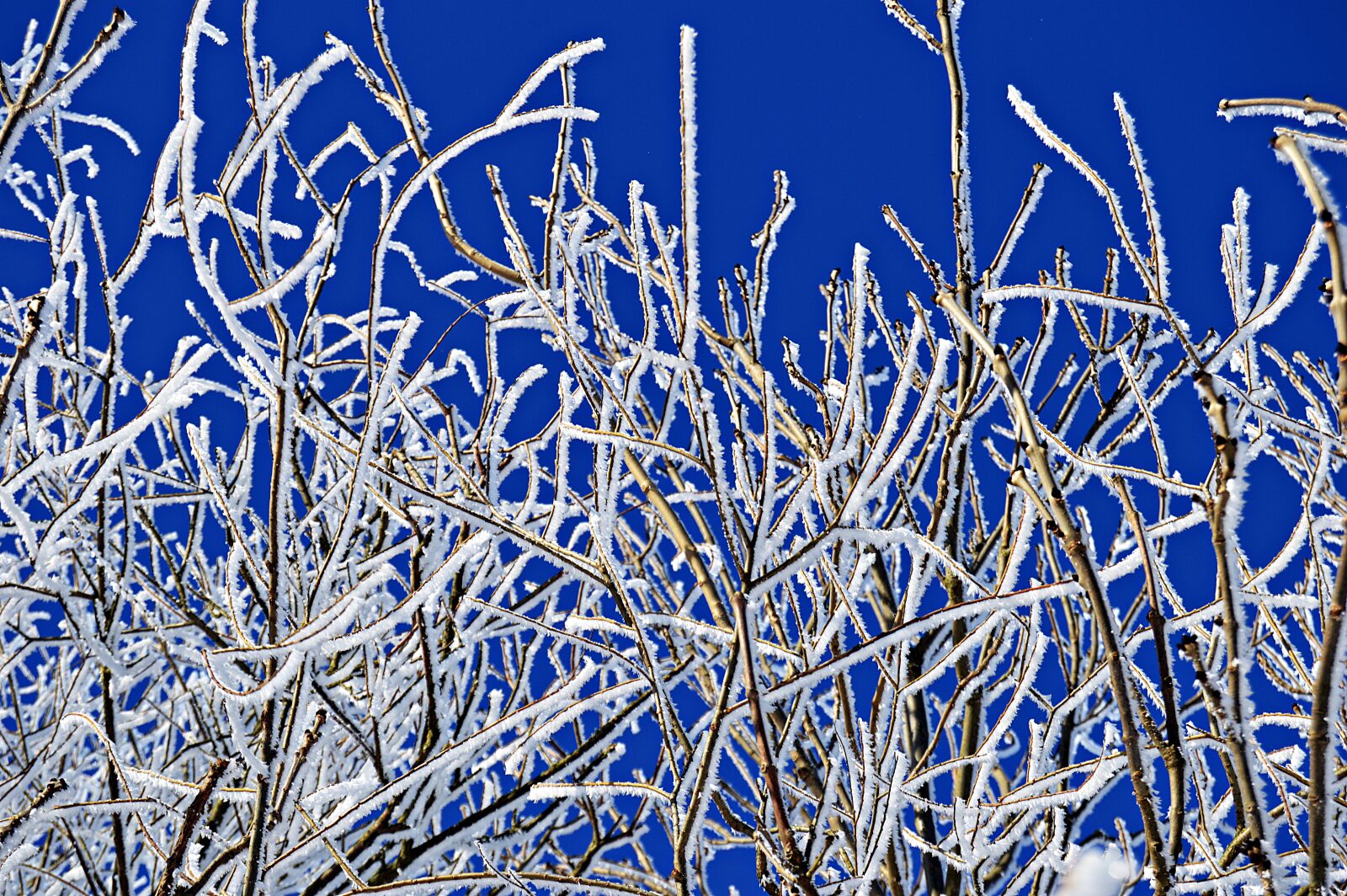 Nikon D3200 sample photo. Winter, snow, landscape photography