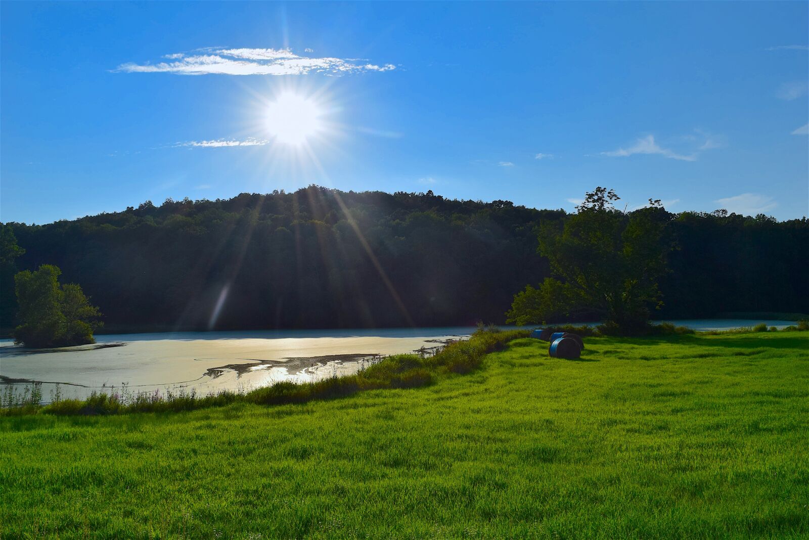 Nikon D3300 sample photo. Field, pond, sunlight photography