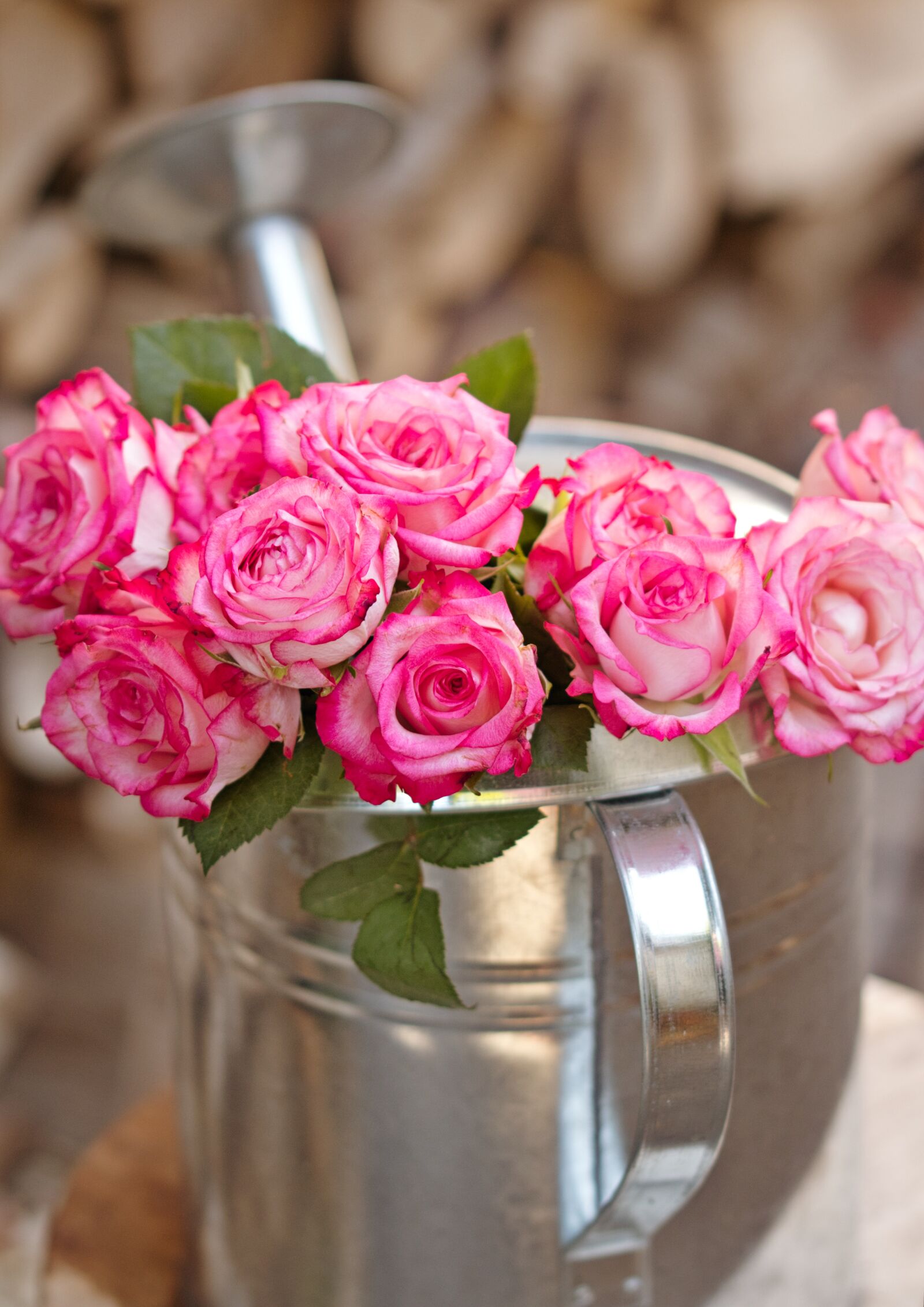 Canon EOS 200D (EOS Rebel SL2 / EOS Kiss X9) sample photo. Roses, love, romantic photography