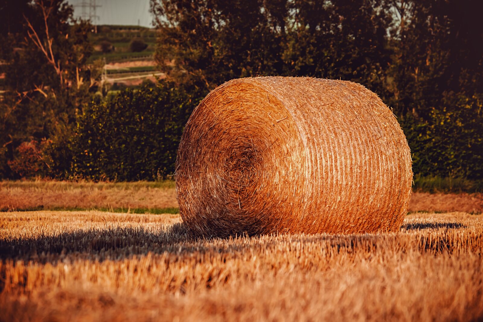 Fujifilm XF 55-200mm F3.5-4.8 R LM OIS sample photo. Hay bales, straw, straw photography