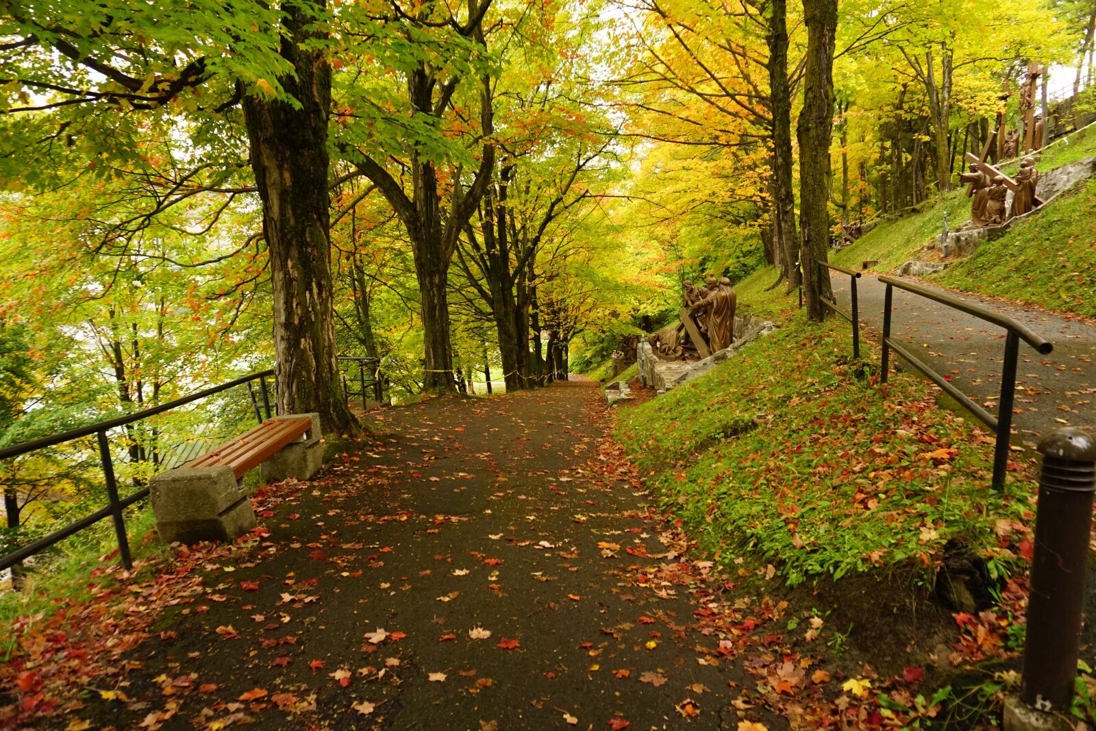 Sony a6000 sample photo. Autumn, colours, autumn, leaves photography