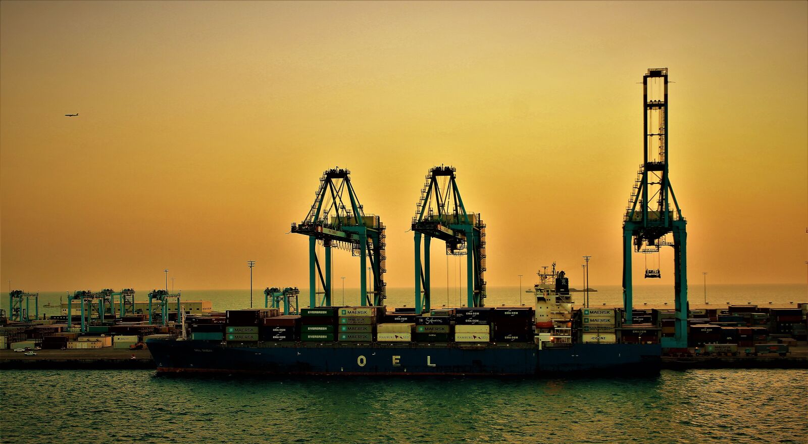 Canon EOS 1300D (EOS Rebel T6 / EOS Kiss X80) sample photo. Crane, porto, sunset photography