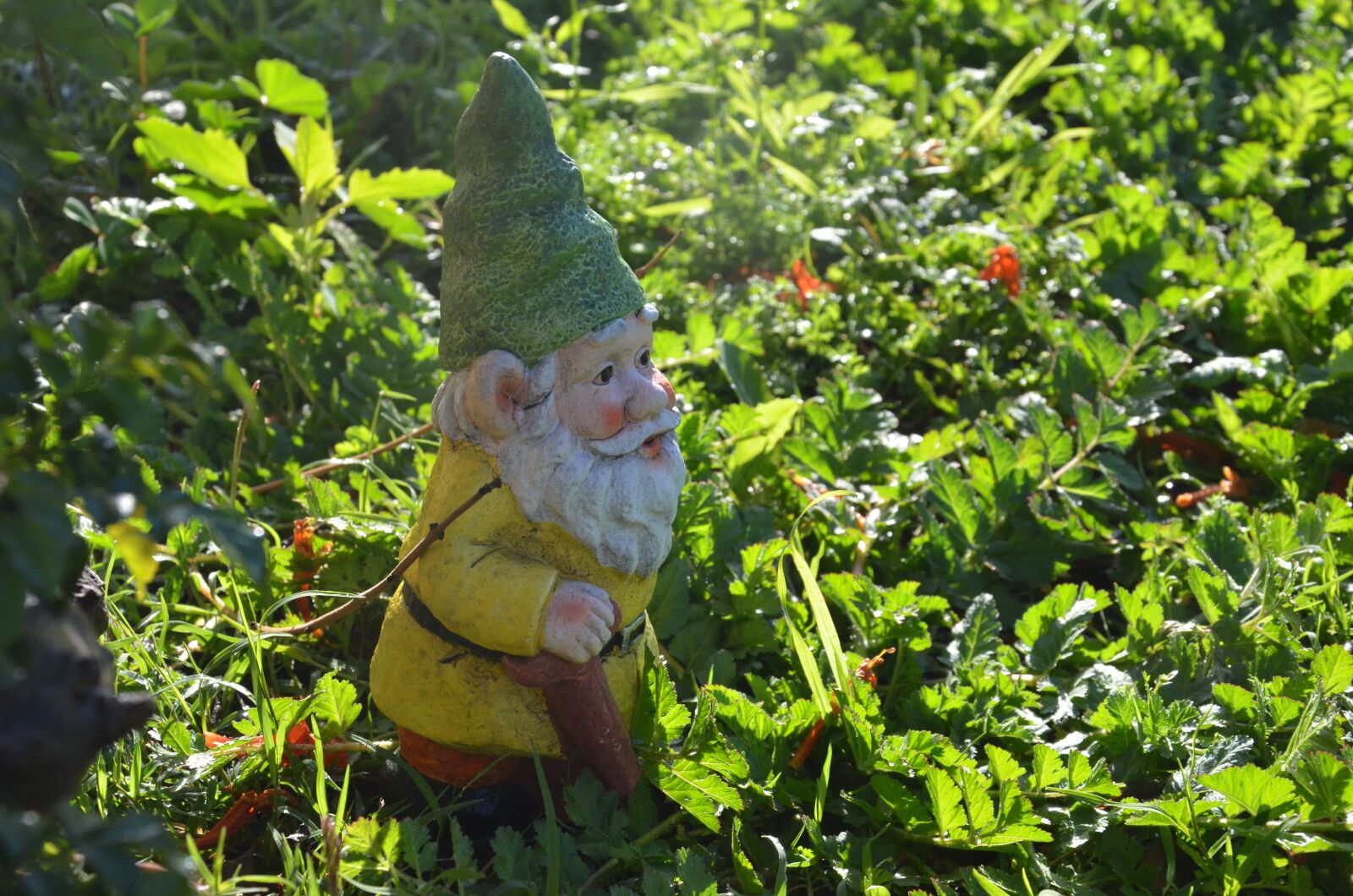 Nikon D7000 sample photo. Gnome, garden, dwarf photography