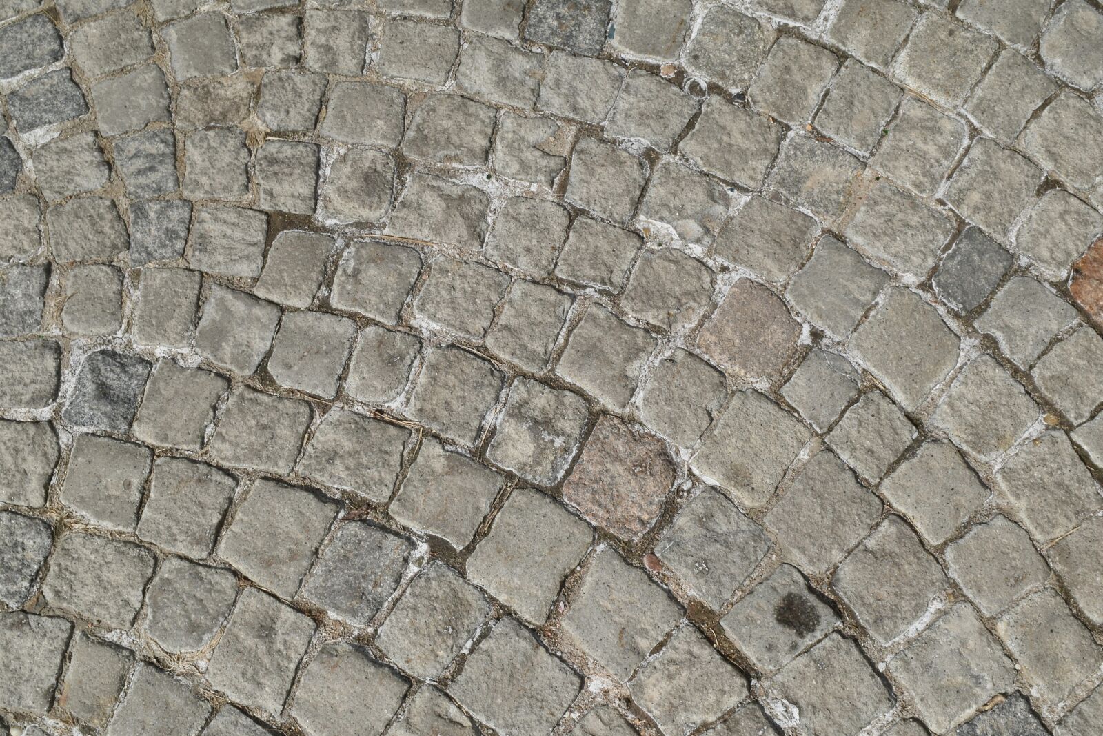 Nikon D5500 sample photo. Texture, paving stone, stone photography