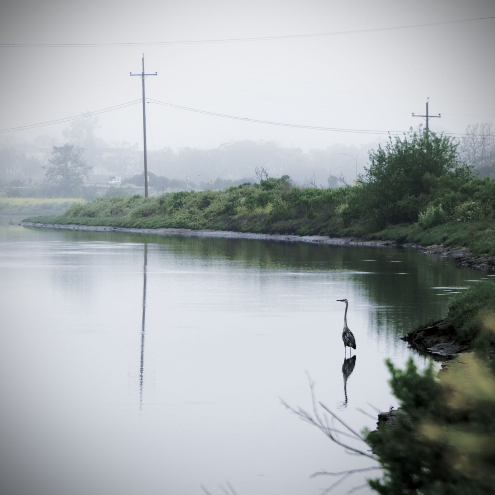 Sony a6500 sample photo. Morning, foggy, landscape photography