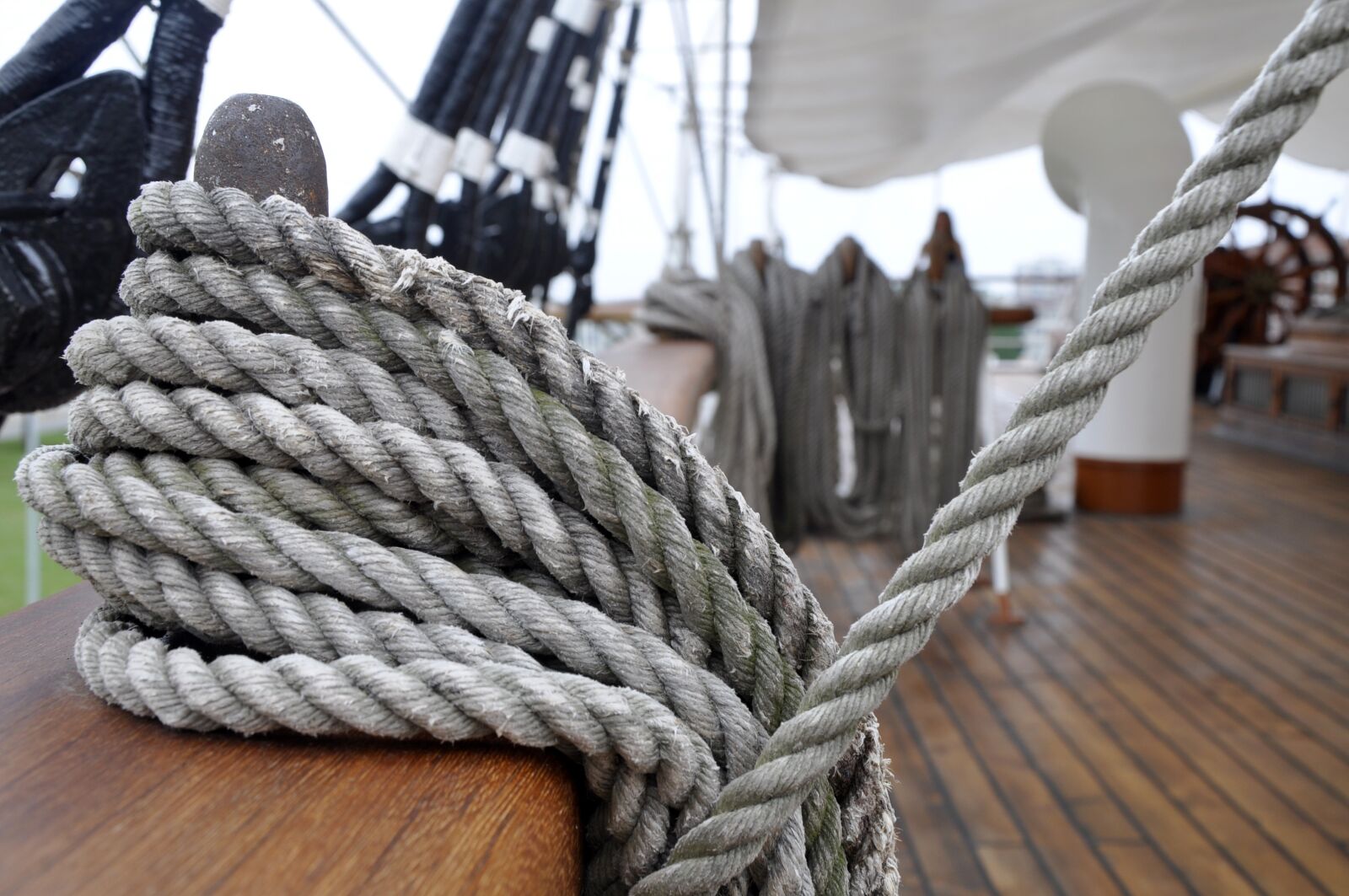 Nikon D90 sample photo. Rope, node, sea photography