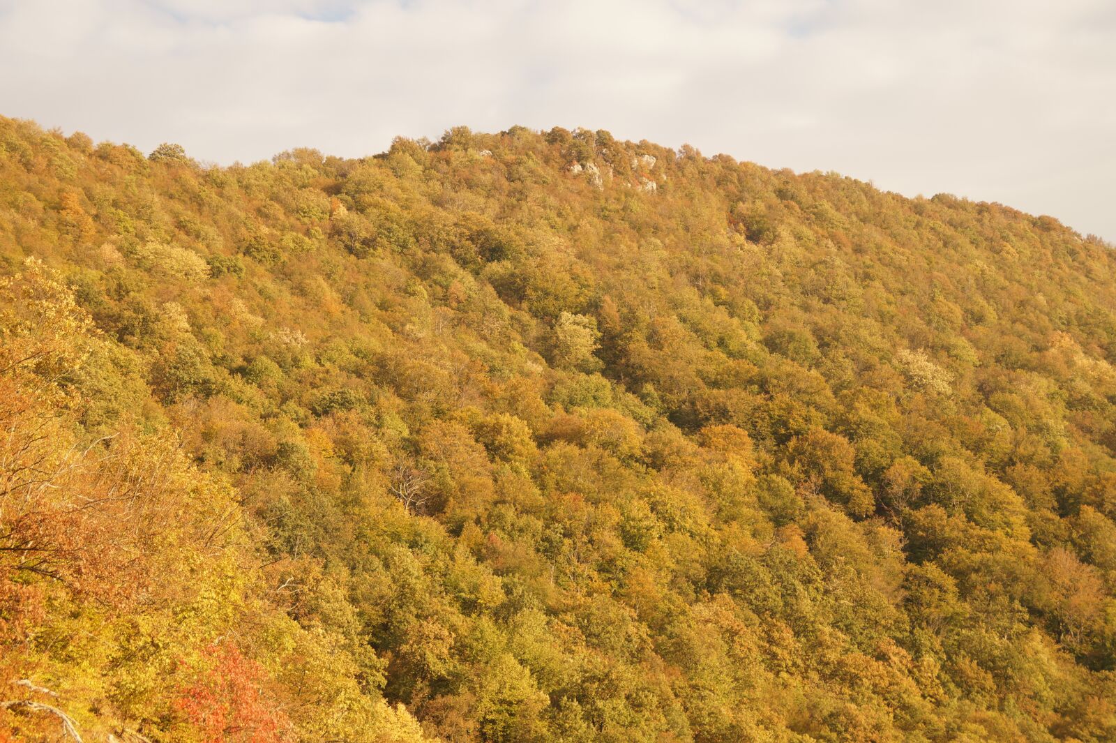 Sony SLT-A58 + Sony DT 18-200mm F3.5-6.3 sample photo. Autumn, mountain, forest photography