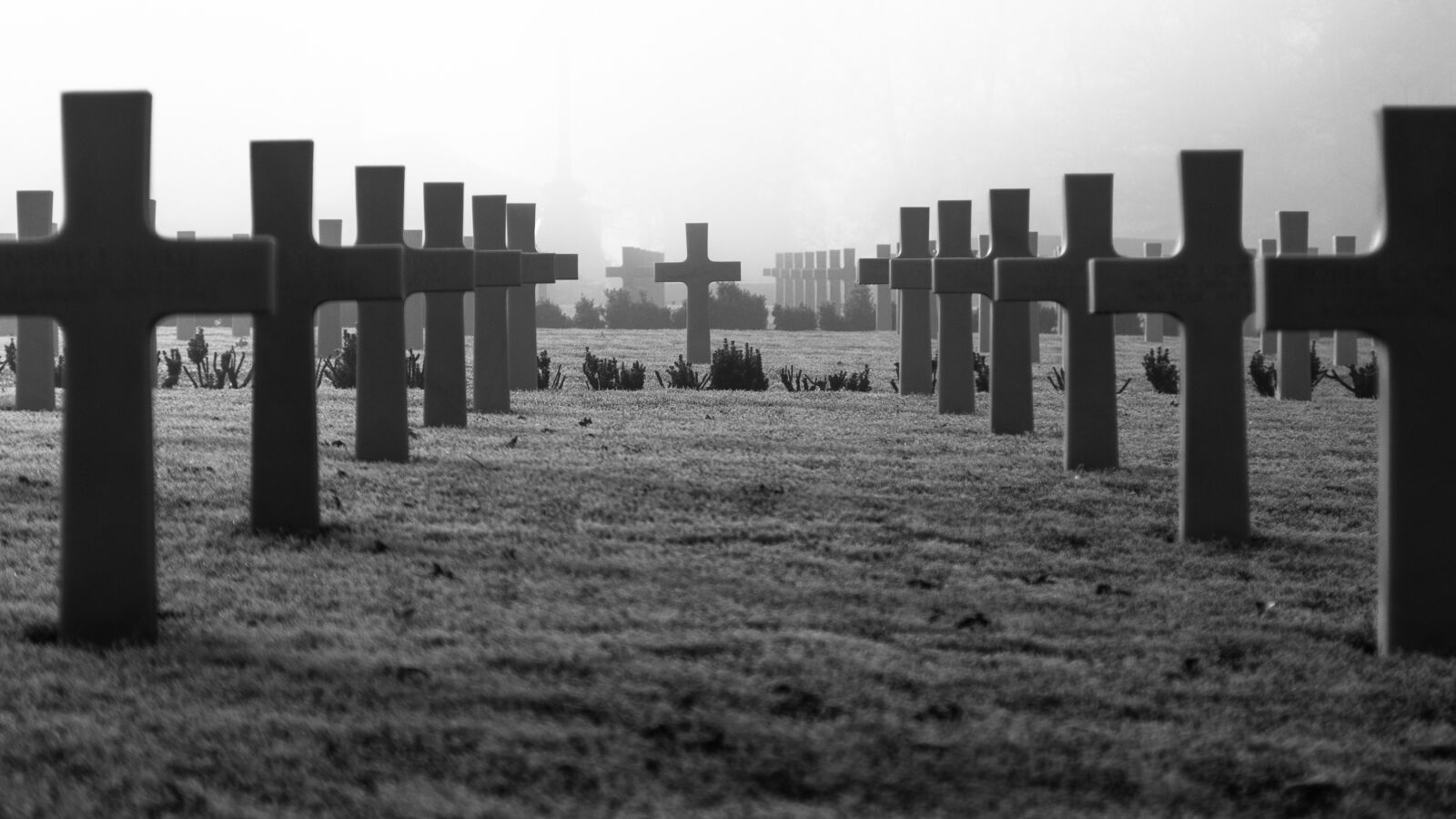 Canon EF 24-105mm F4L IS USM sample photo. War memorial, remembrance day photography