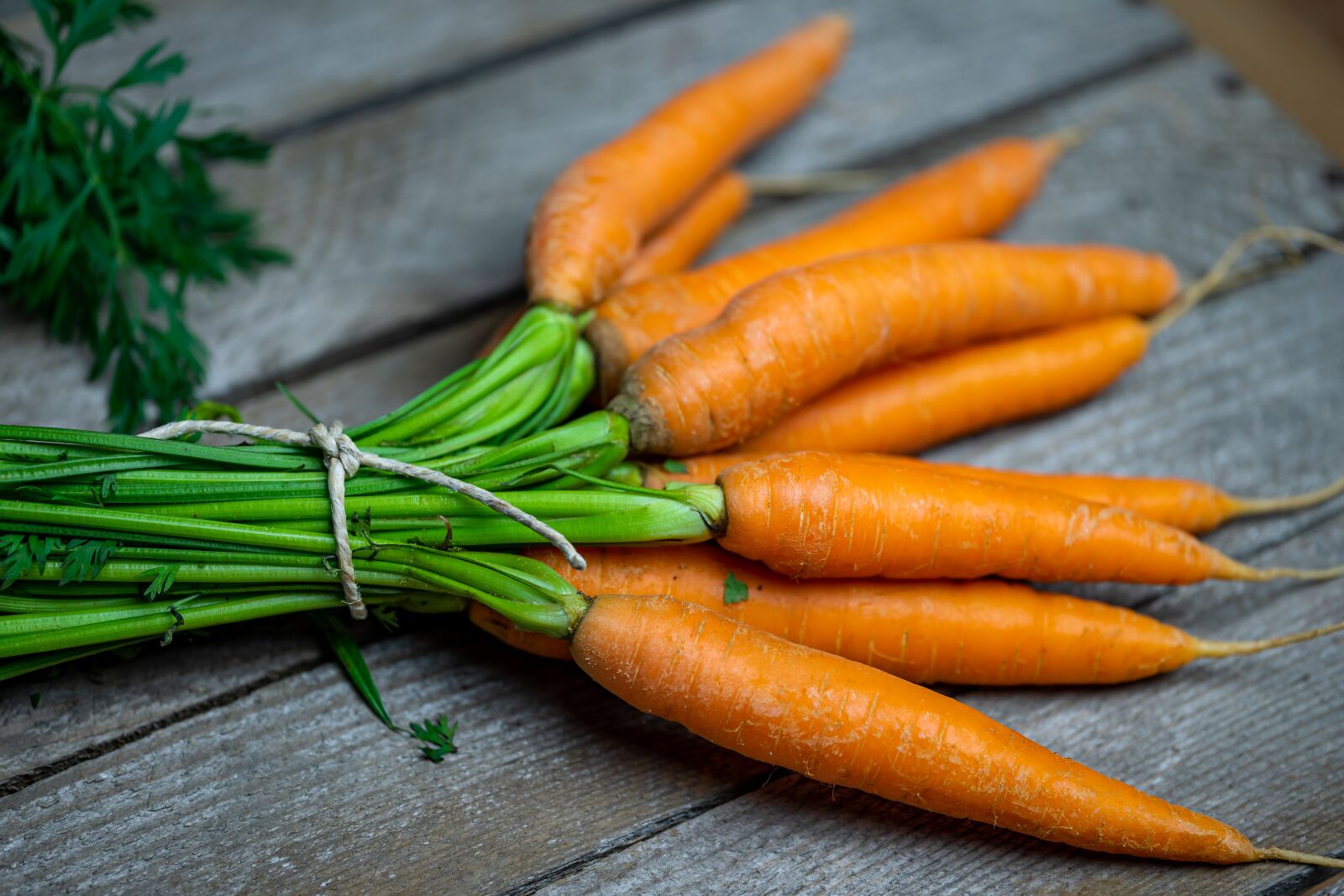 Sigma 70mm F2.8 DG Macro Art sample photo. Carrots, federal government, healthy photography