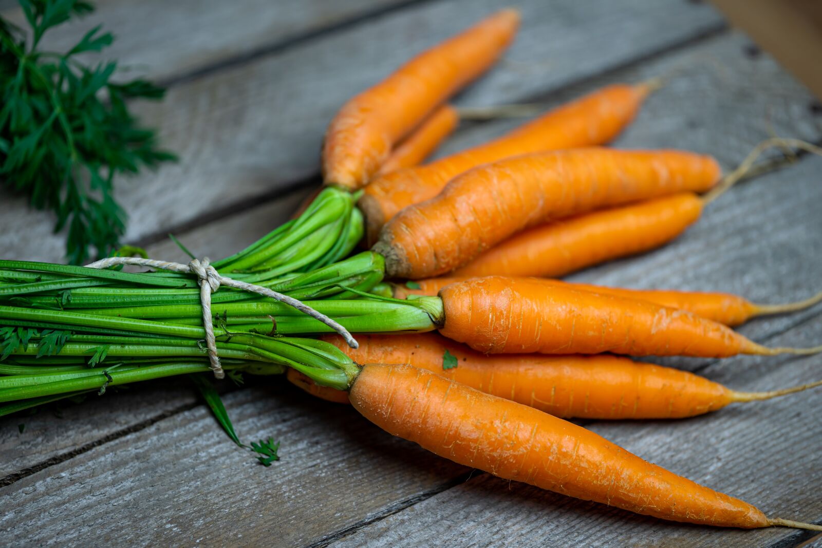 Sony a7 II sample photo. Carrots, federal government, healthy photography