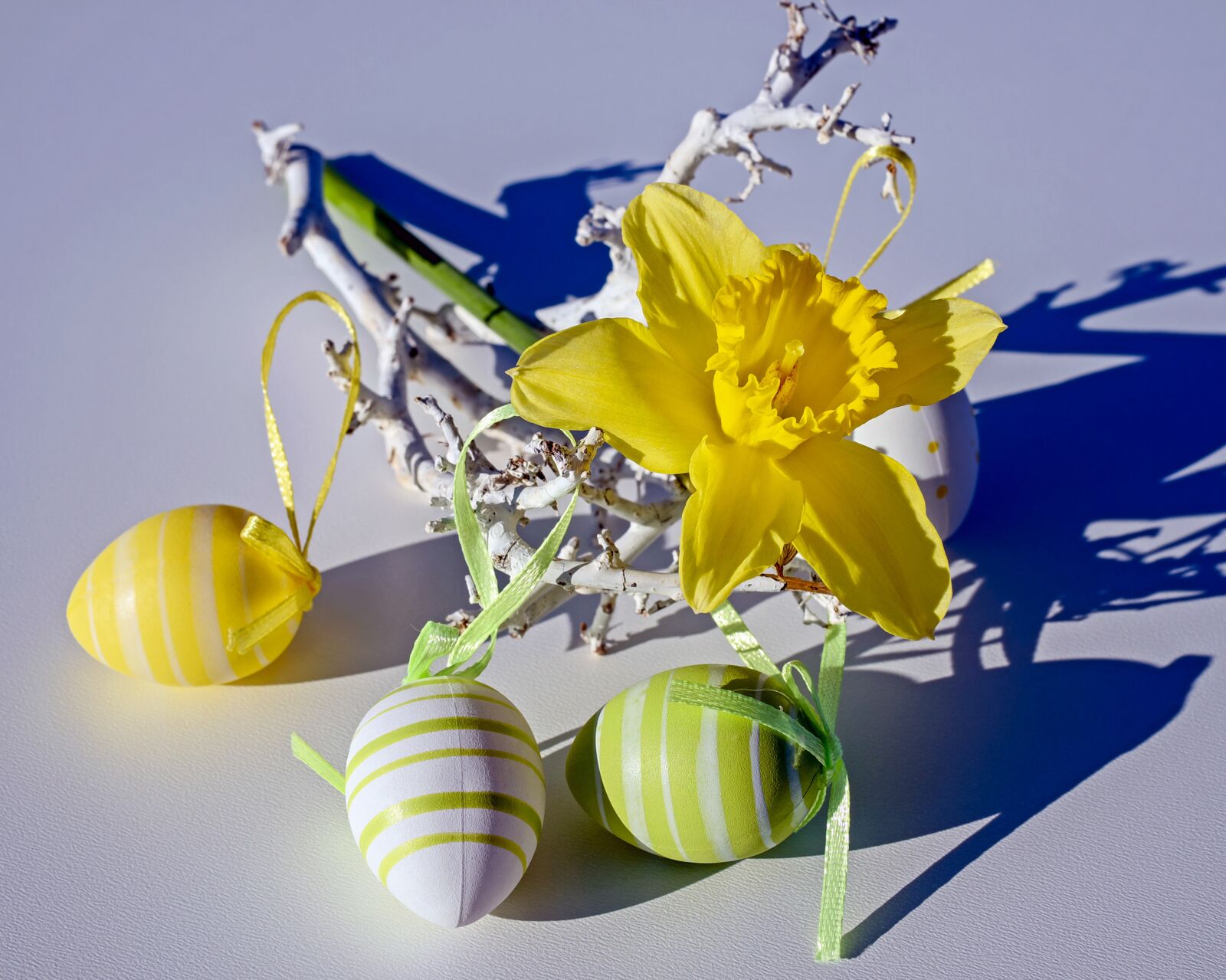 Fujifilm X-T10 + Fujifilm XF 35mm F1.4 R sample photo. Easter theme, daffodil, flower photography