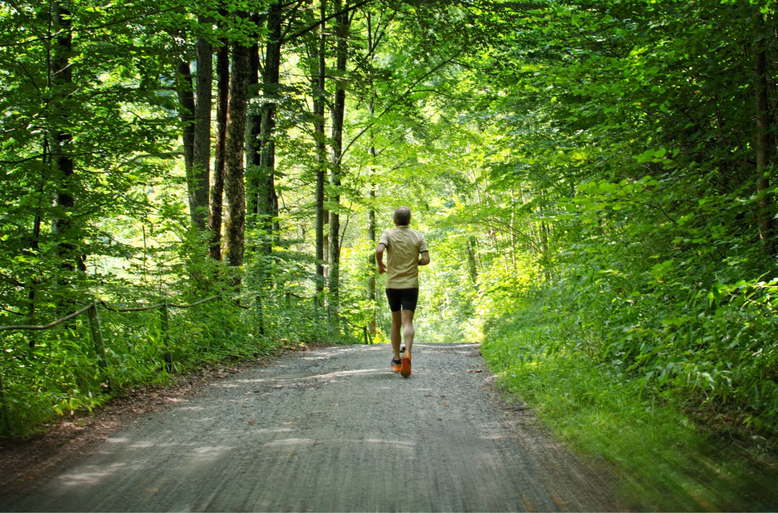 Nikon D7100 sample photo. Run, jog, sport photography