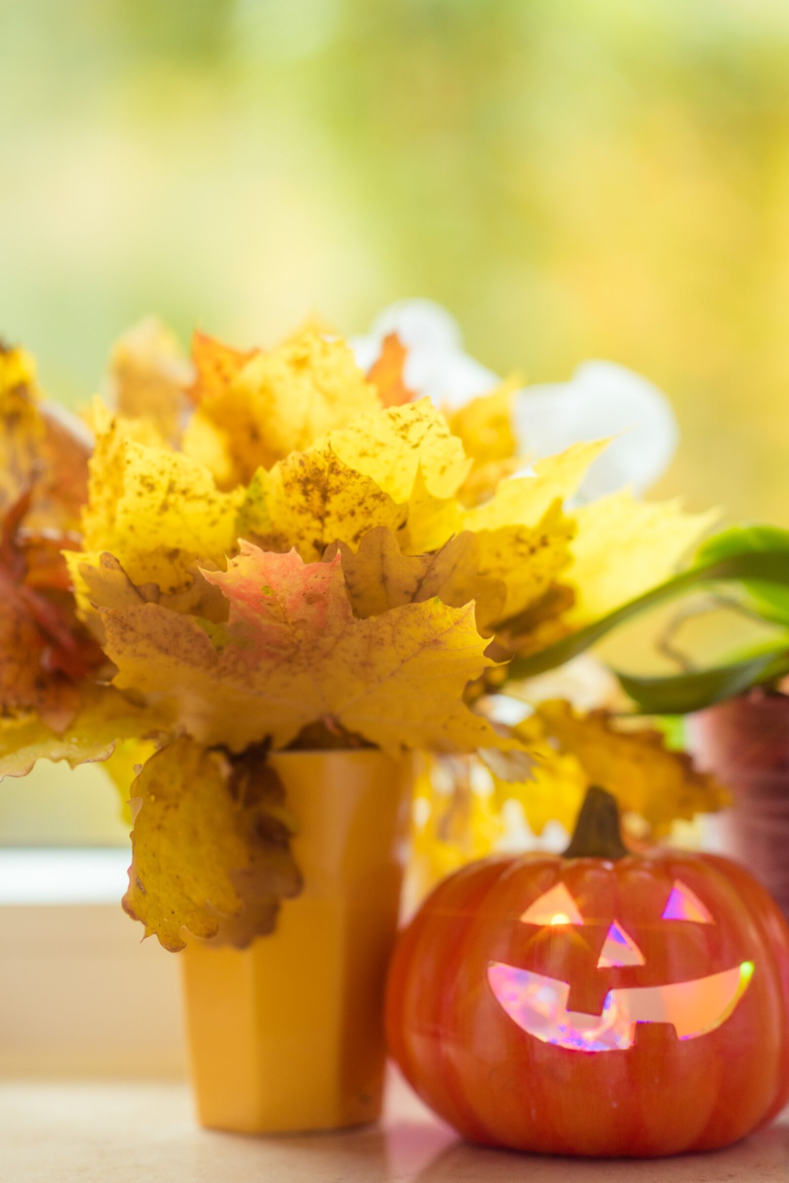 Nikon D810 sample photo. Halloween, pumpkin, leaves photography