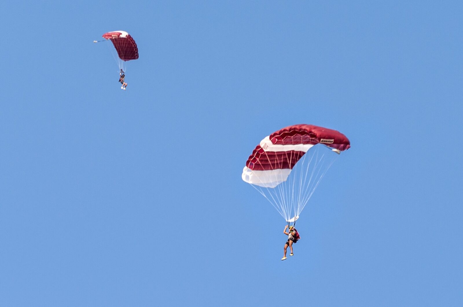 Nikon D90 sample photo. Sky diving, sport, parachute photography