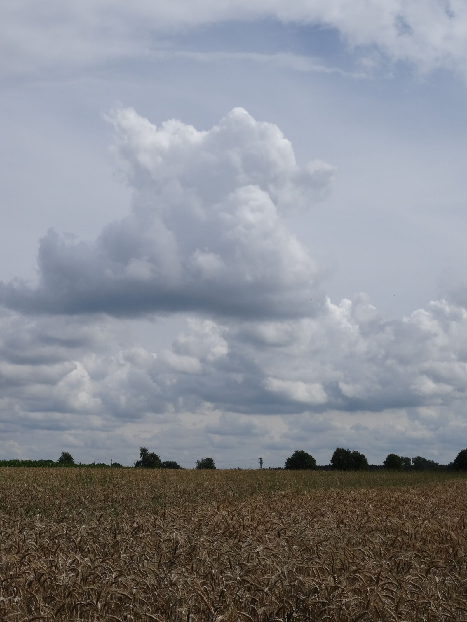 Sony DSC-HX50 sample photo. Field, clouds, clouds mountains photography