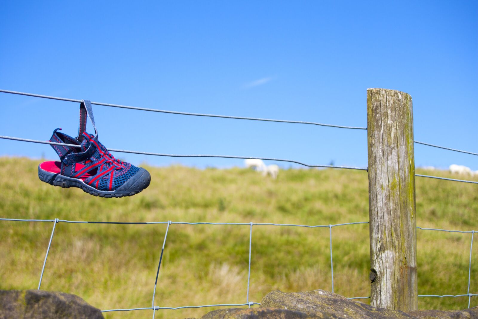 Canon EOS 500D (EOS Rebel T1i / EOS Kiss X3) sample photo. Shoe, lost, footwear photography