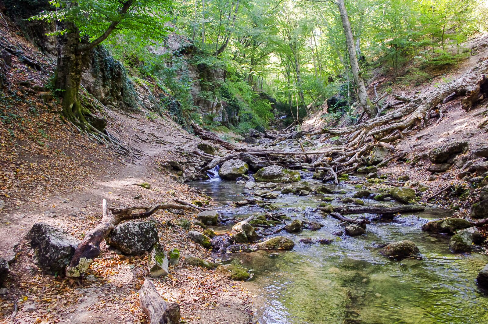 smc PENTAX-DA L 18-55mm F3.5-5.6 sample photo. Nature, water, wood photography