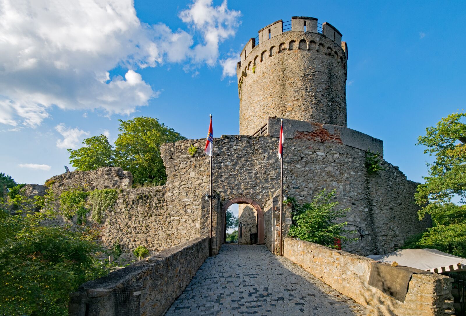Nikon D5300 sample photo. Castle, alsbach, mountain road photography