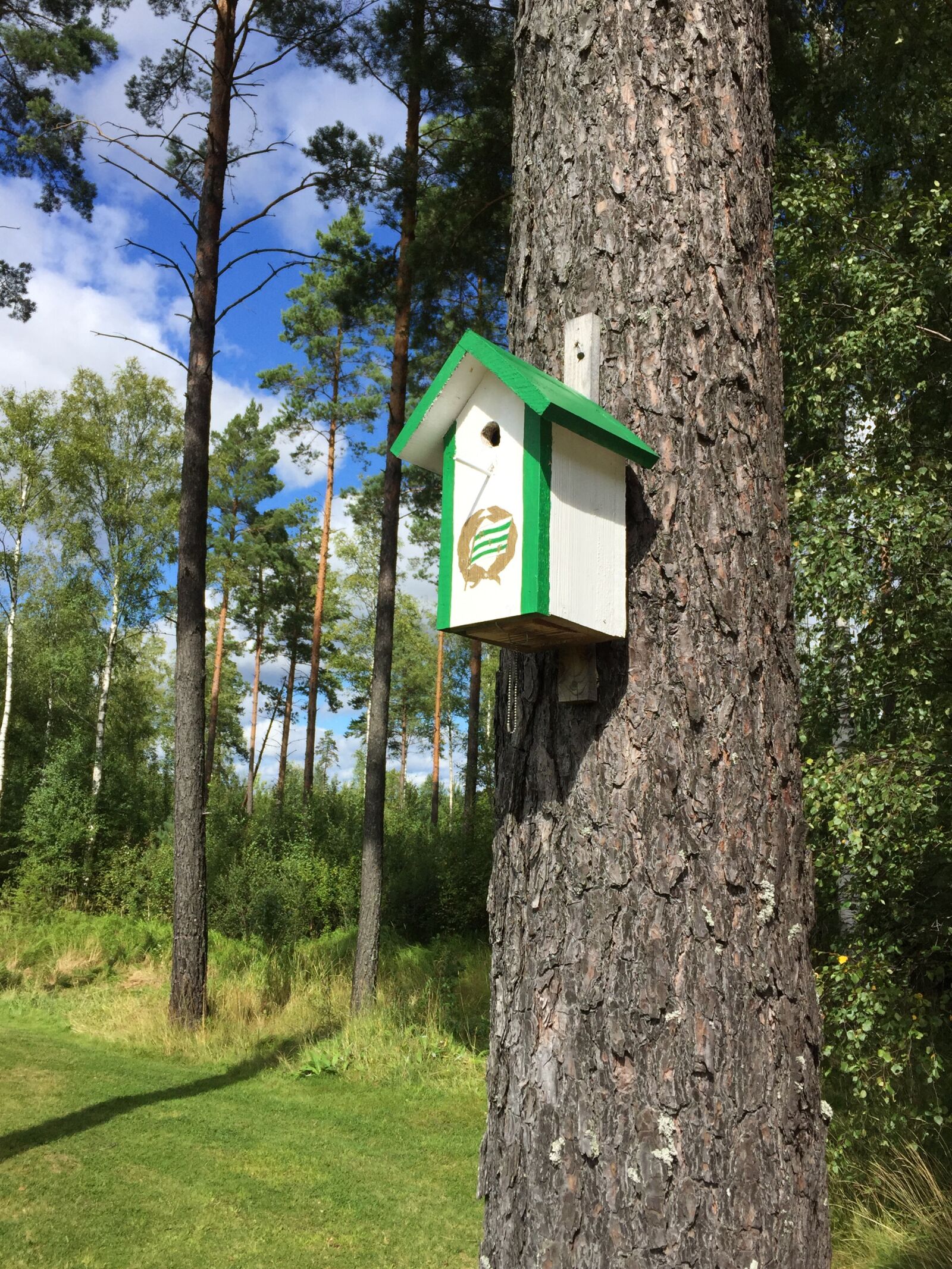 Apple iPhone 6 sample photo. Forest, tree, birdhouse photography