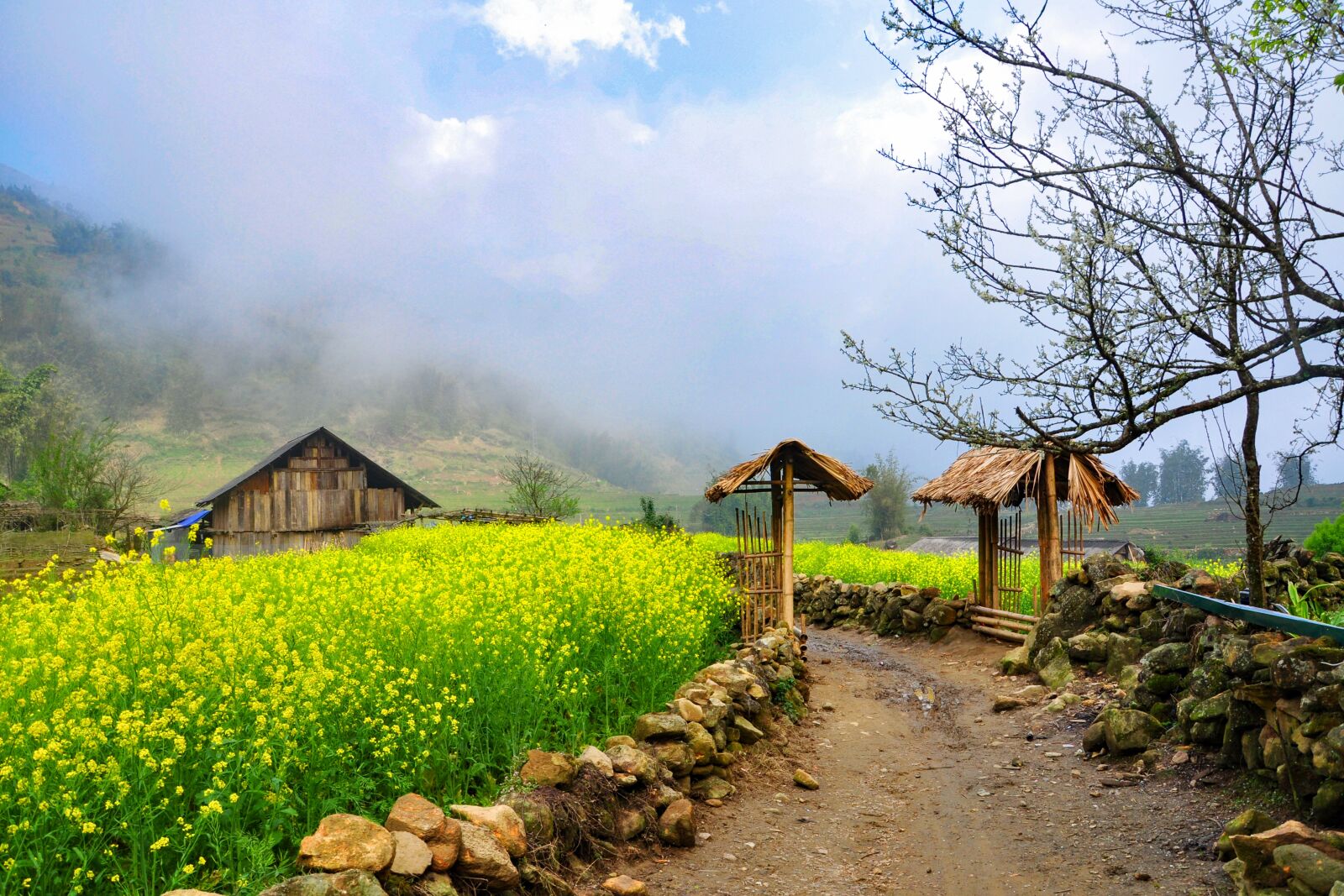 Nikon D90 sample photo. Spring, sa pa photography