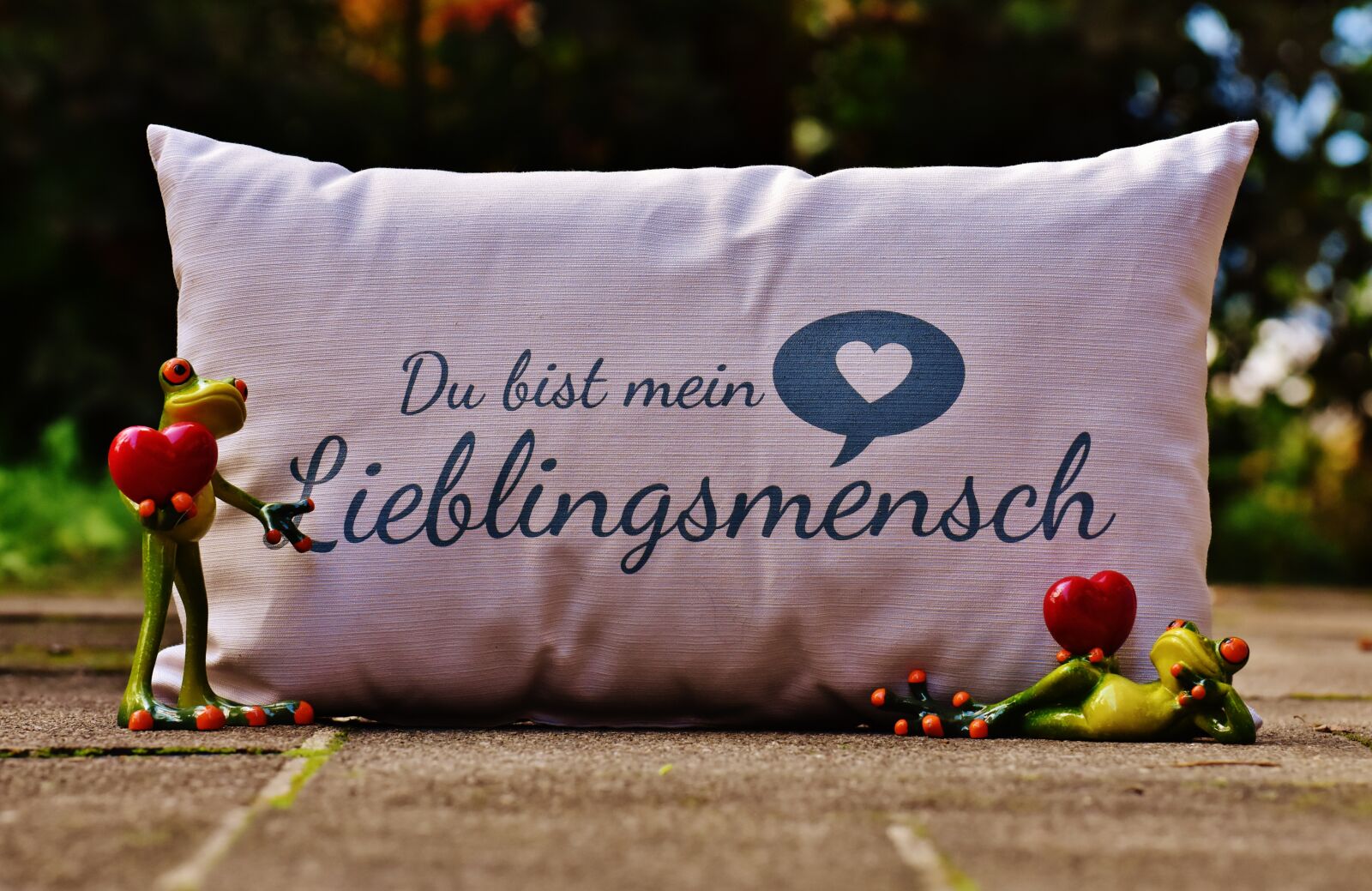 Nikon D7200 sample photo. Pillow, love, heart photography