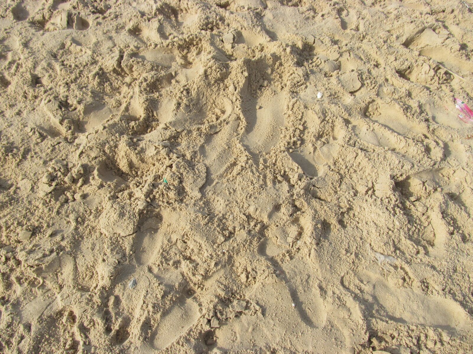 Canon PowerShot SX150 IS sample photo. Sand, background, yellow photography