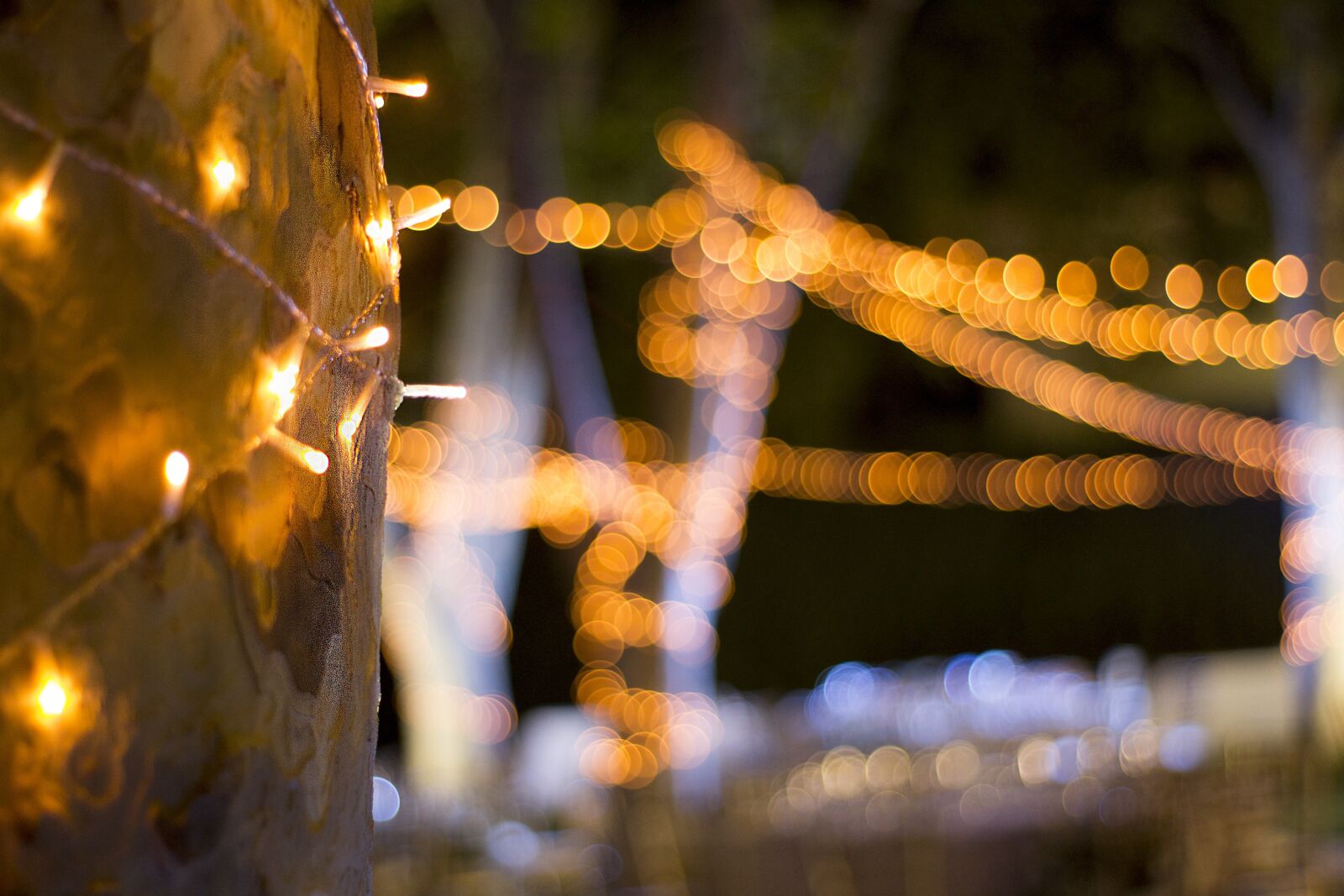 Nikon D3100 sample photo. Lights, led, lighting photography